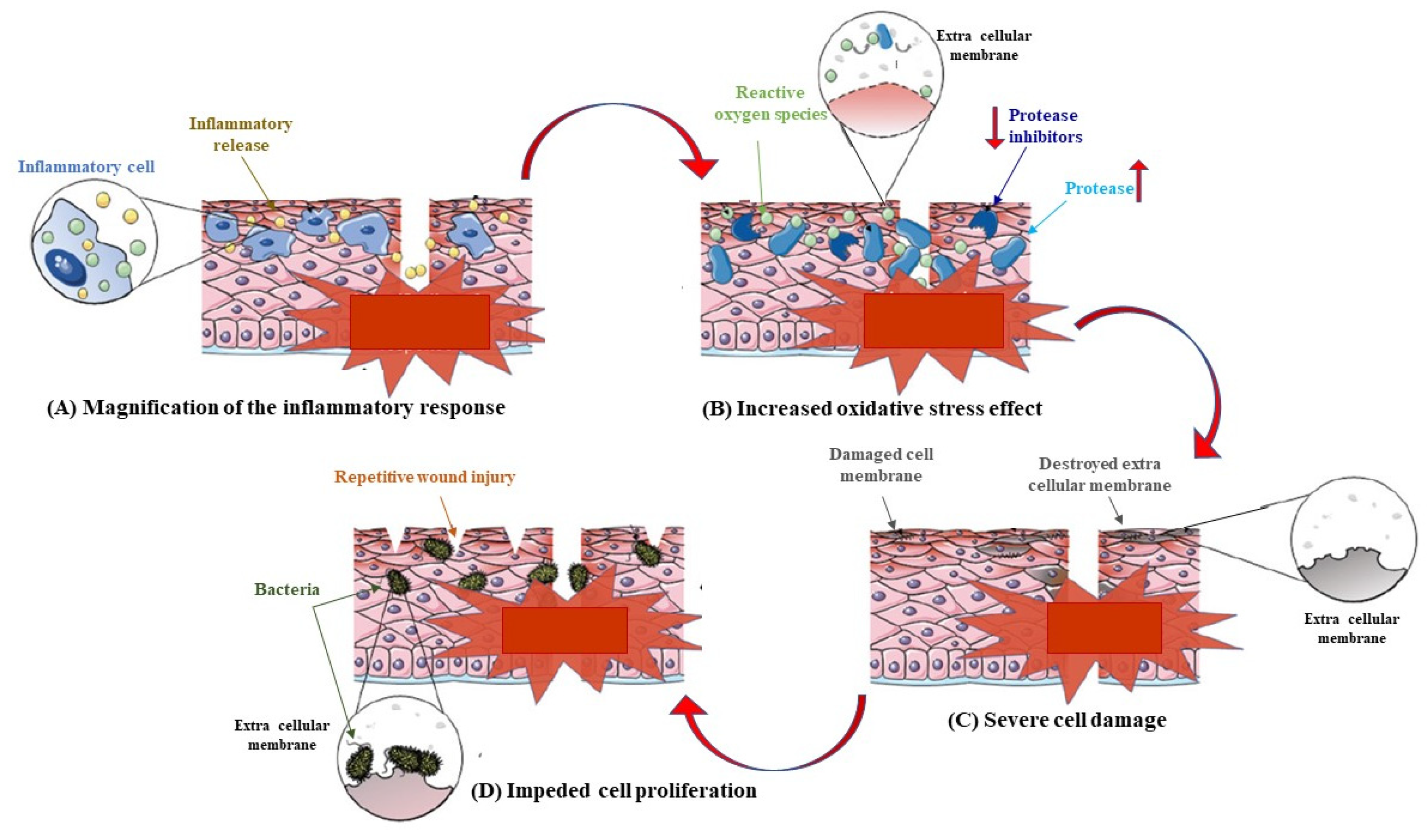 Pharmaceutics 15 00271 g001