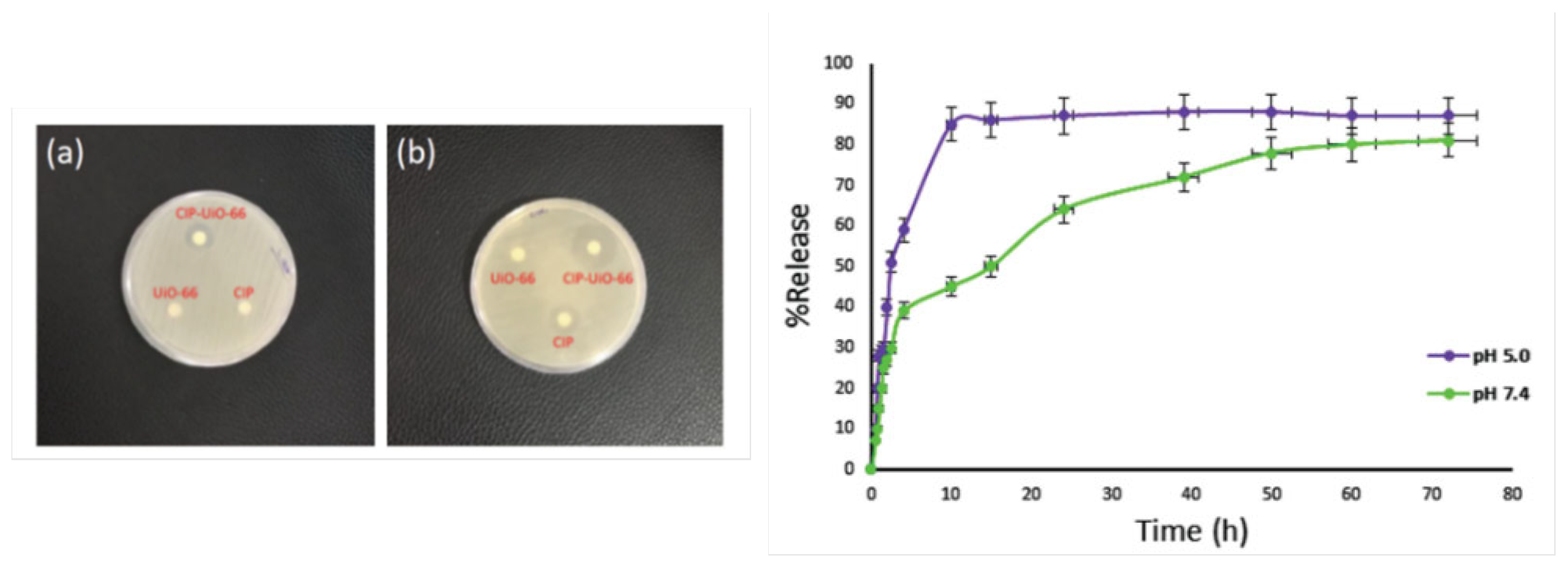 Pharmaceutics 15 00274 g006 Pharmaceutics 15 00274 g006
