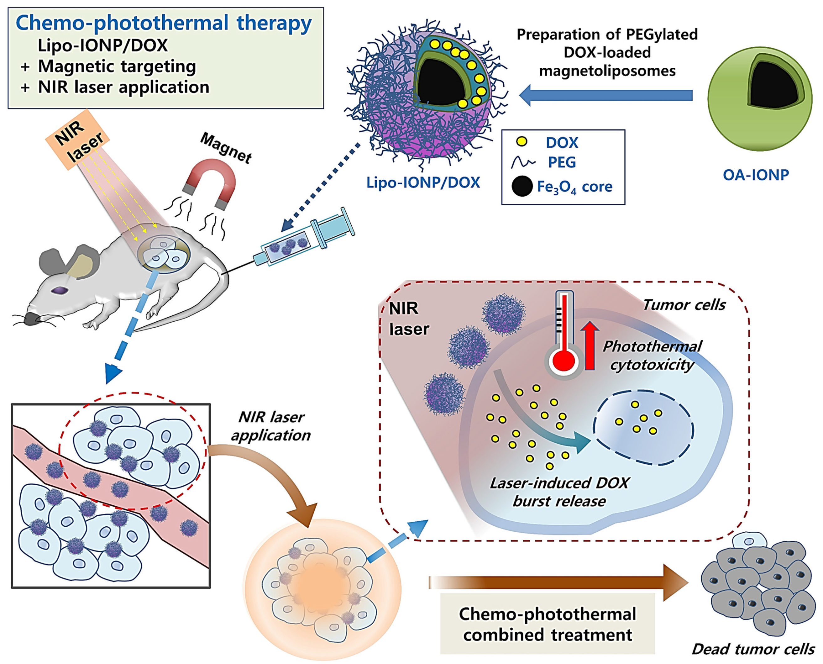 Pharmaceutics 15 00292 g001