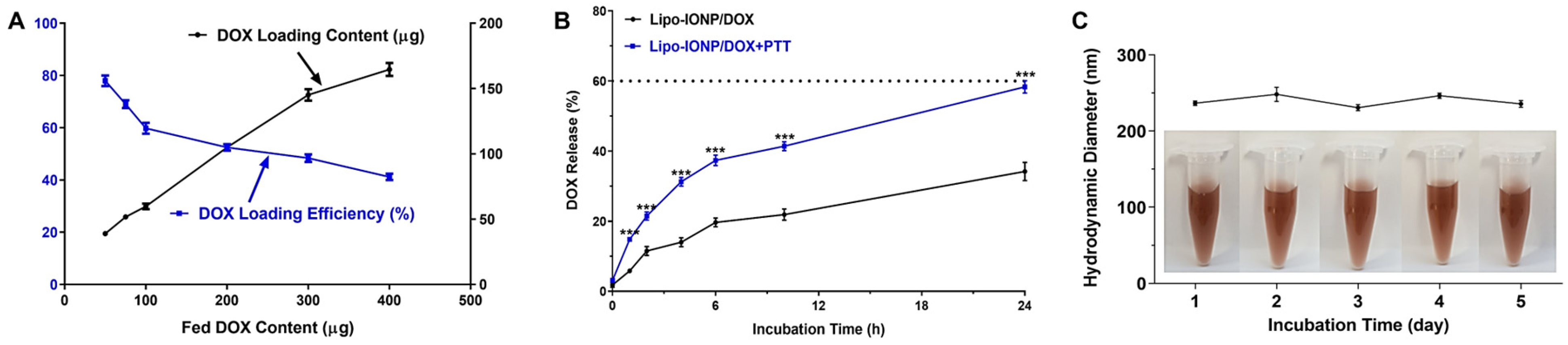 Pharmaceutics 15 00292 g005