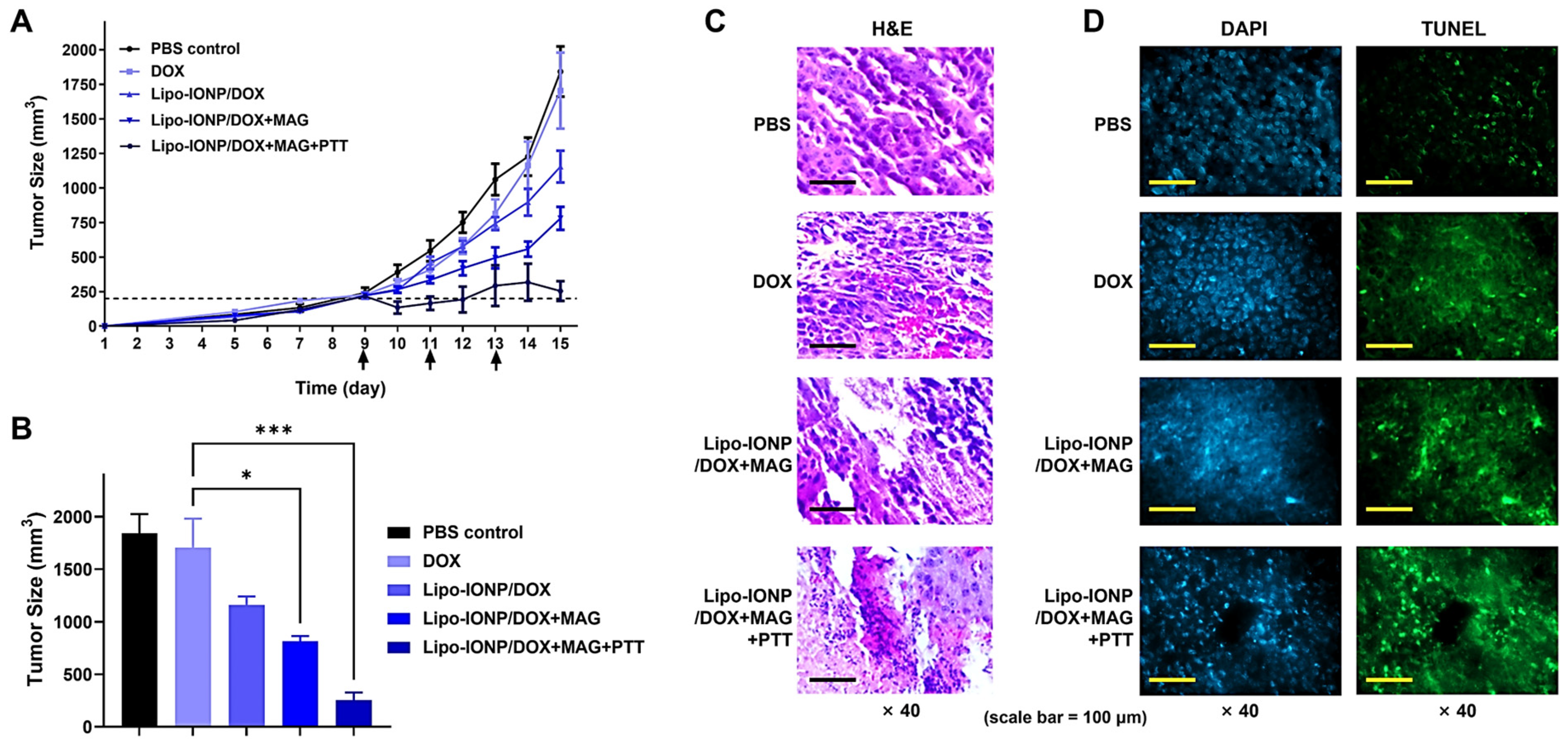 Pharmaceutics 15 00292 g009