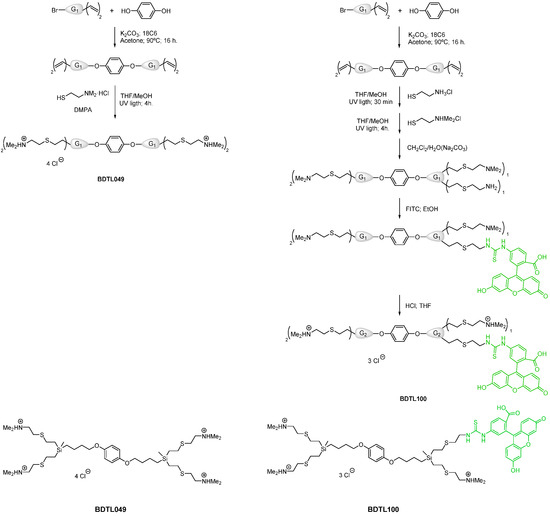 Pharmaceutics, Free Full-Text