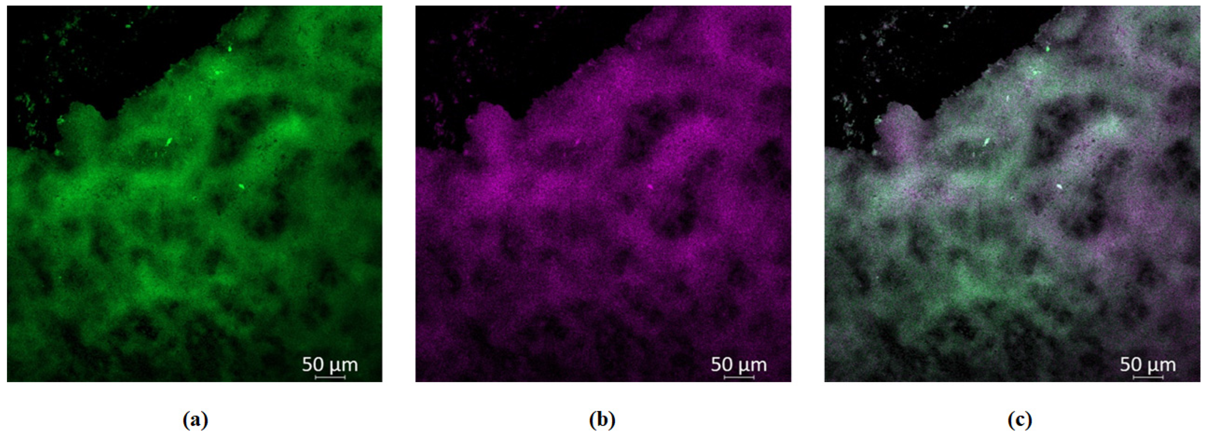 Pharmaceutics 15 00305 g003 Pharmaceutics 15 00305 g003