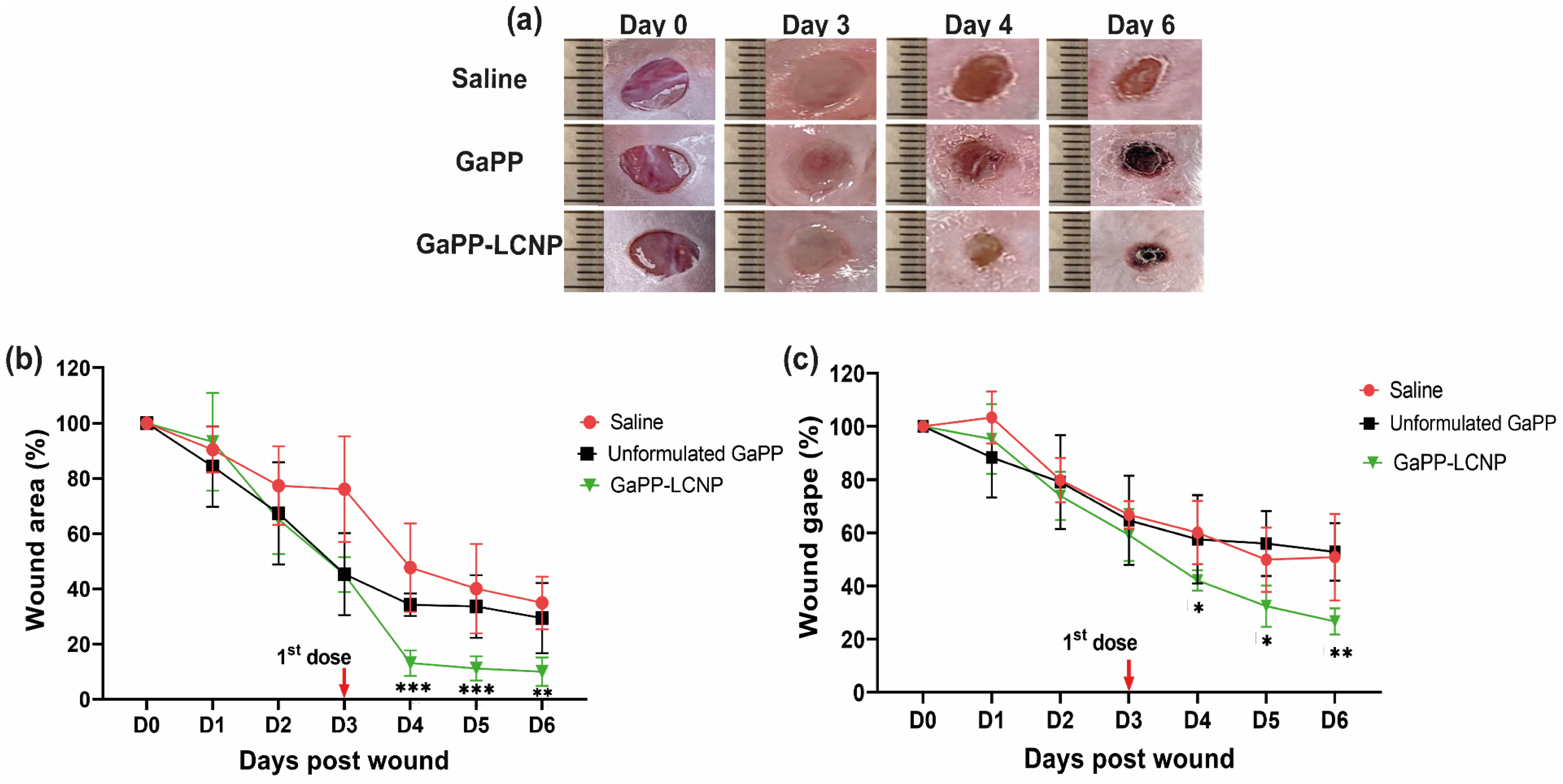Pharmaceutics 15 00305 g010 Pharmaceutics 15 00305 g010