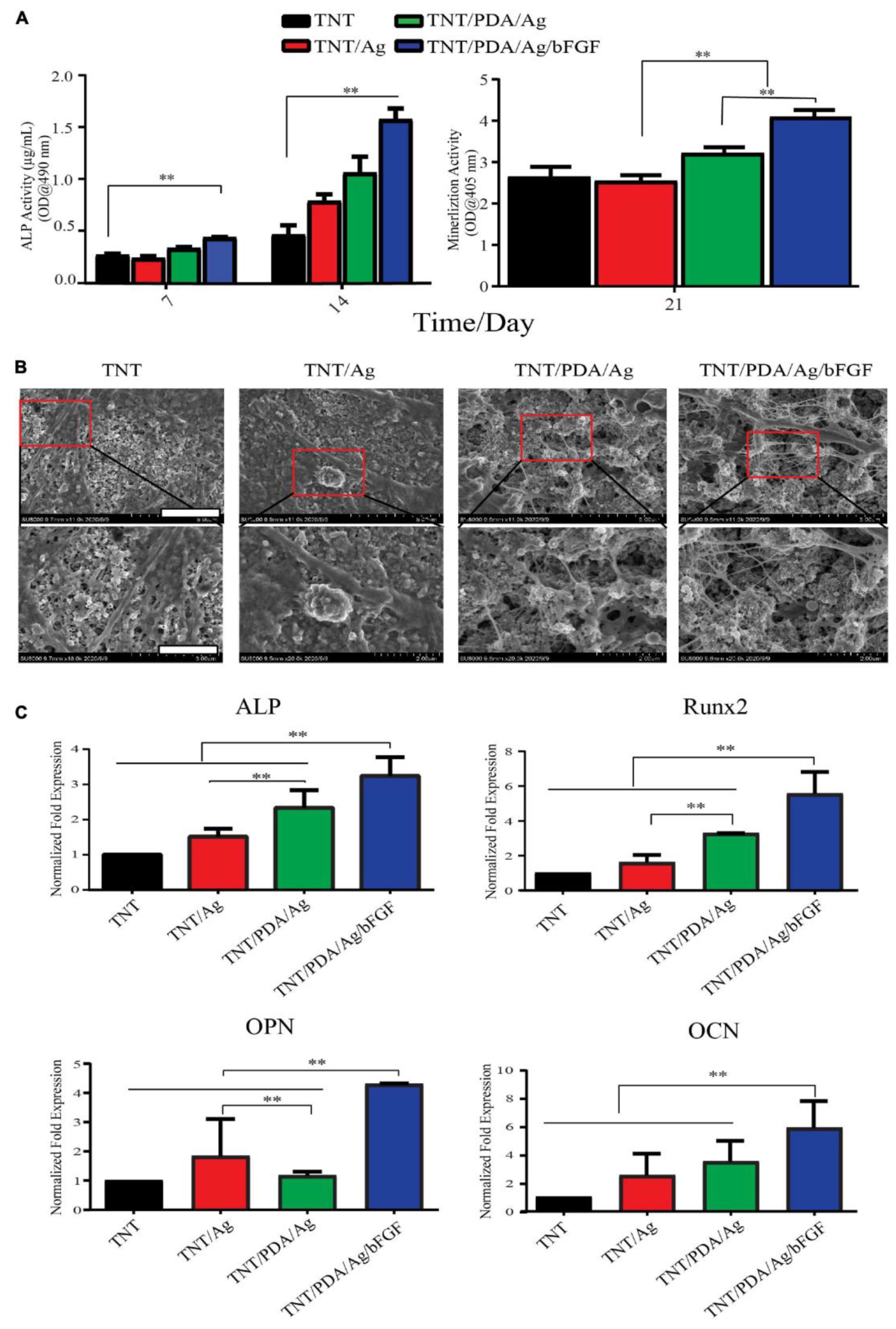 Pharmaceutics 15 00315 g009 Pharmaceutics 15 00315 g009