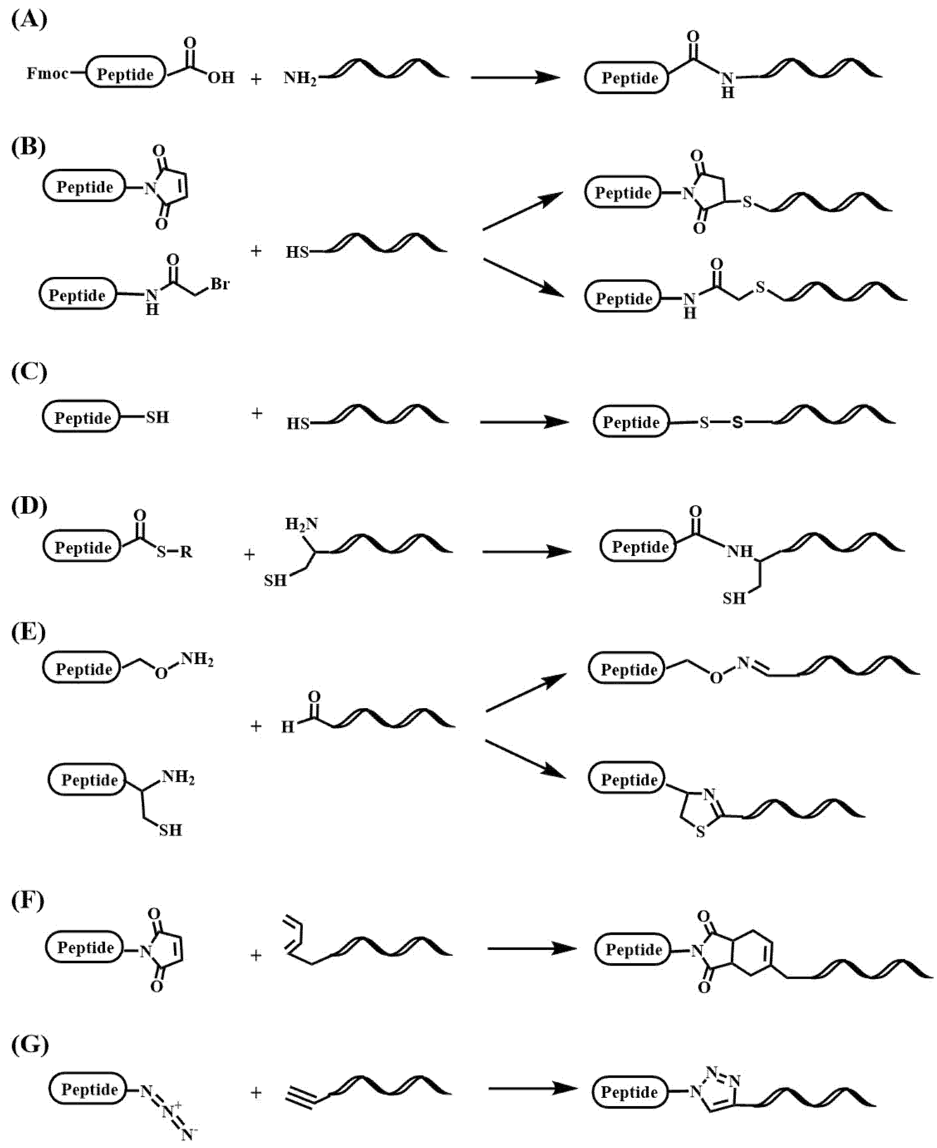 Pharmaceutics 15 00320 g005 Pharmaceutics 15 00320 g005