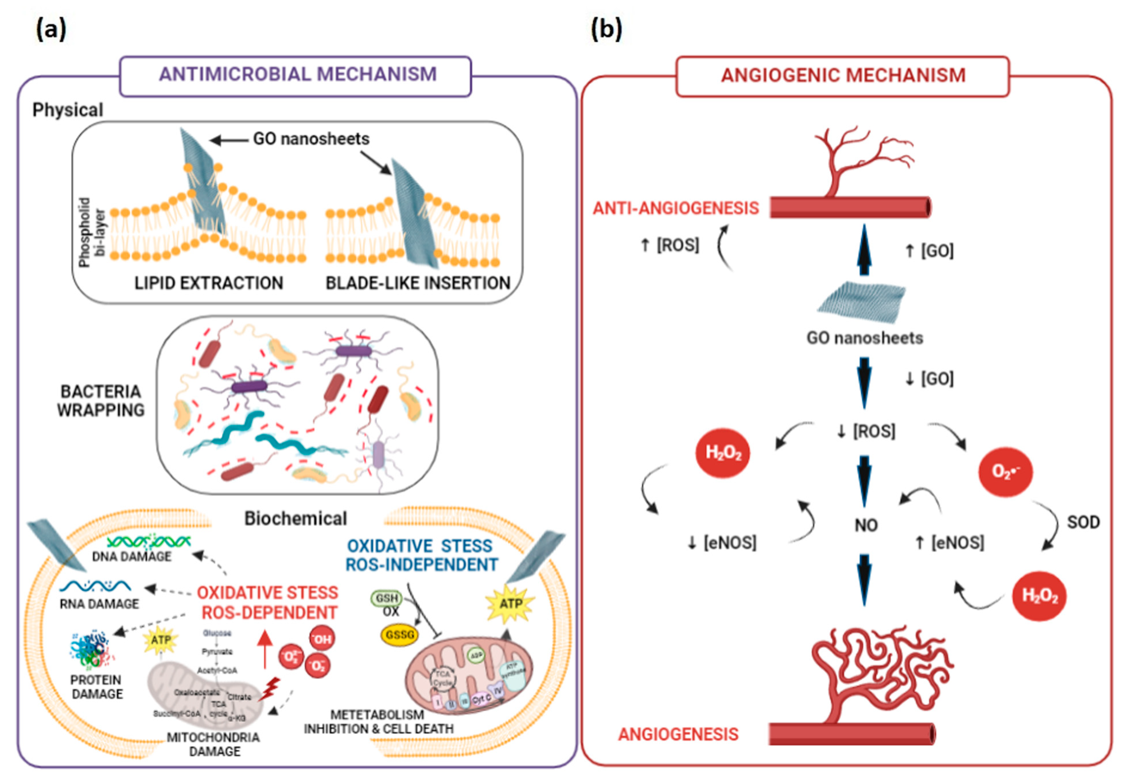 Pharmaceutics 15 00338 g005