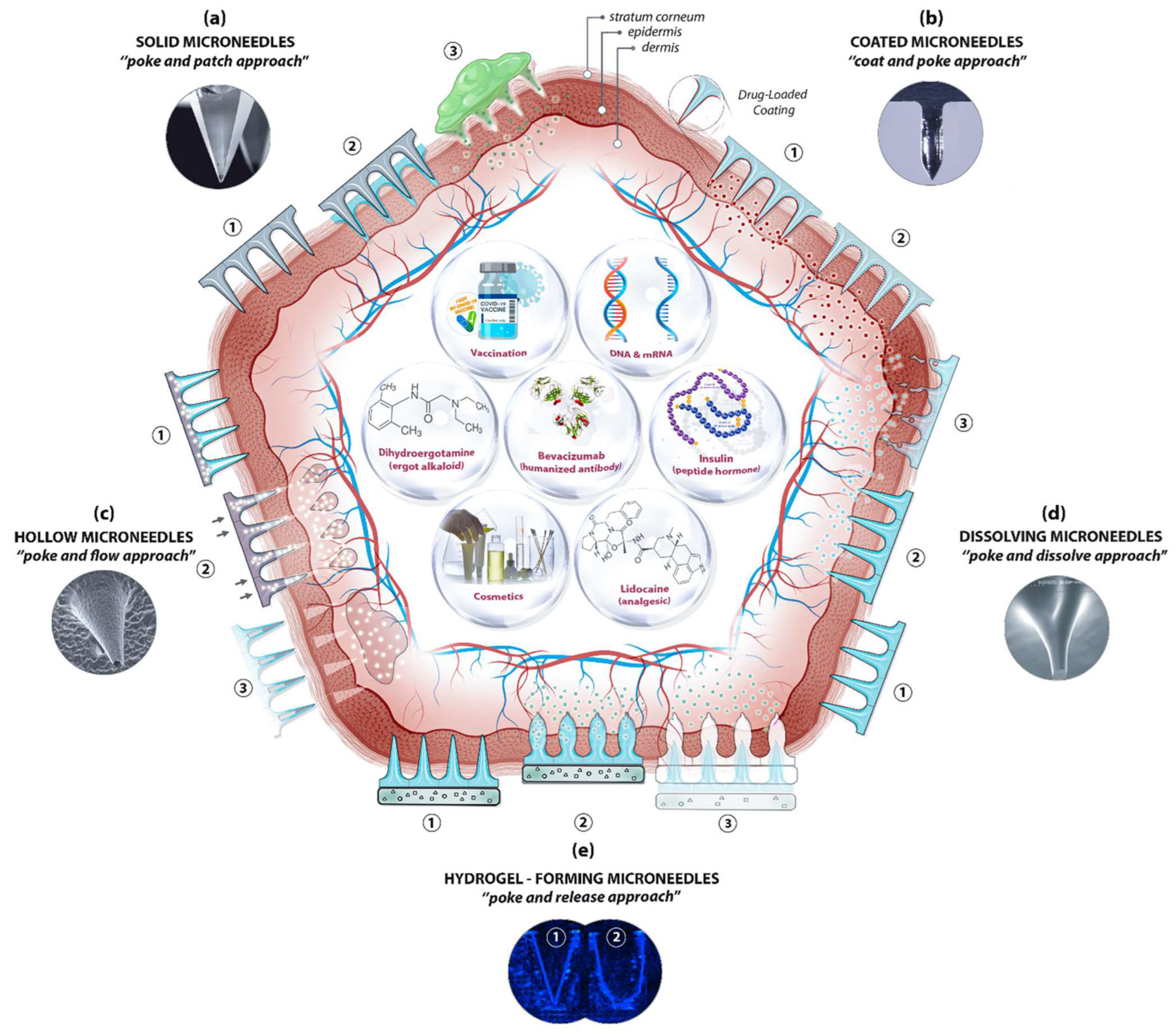 Pharmaceutics 15 00355 g002 Pharmaceutics 15 00355 g002