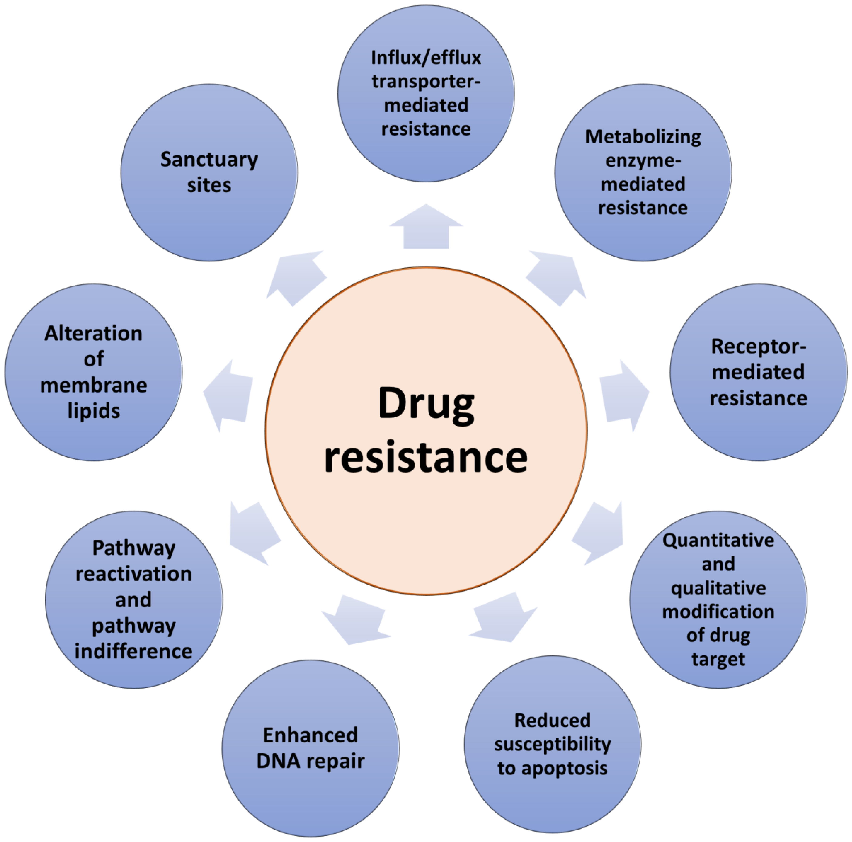 Pharmaceutics | Free Full-Text | The Role Of Solute Carrier ...