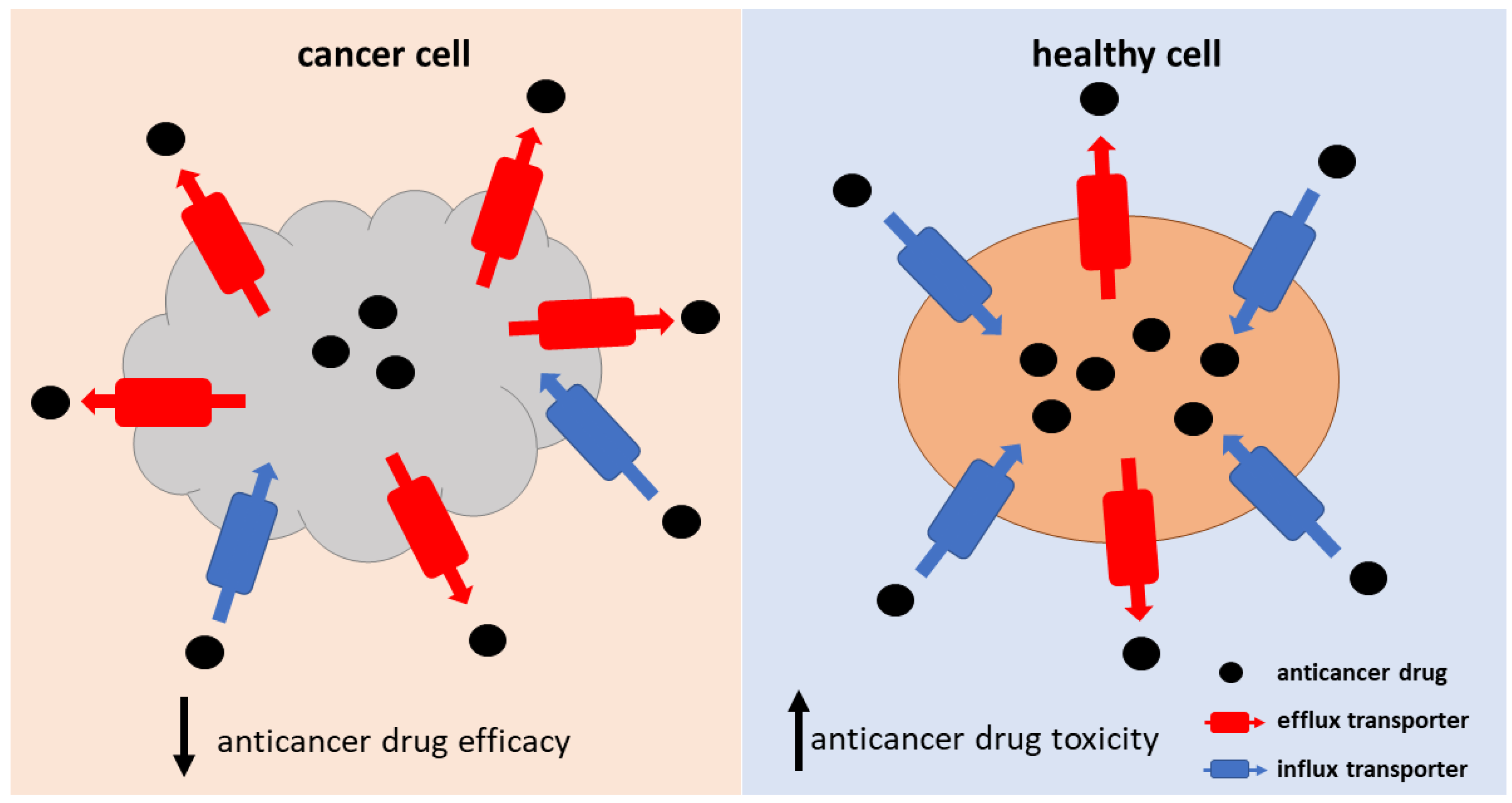 Pharmaceutics 15 00364 g002