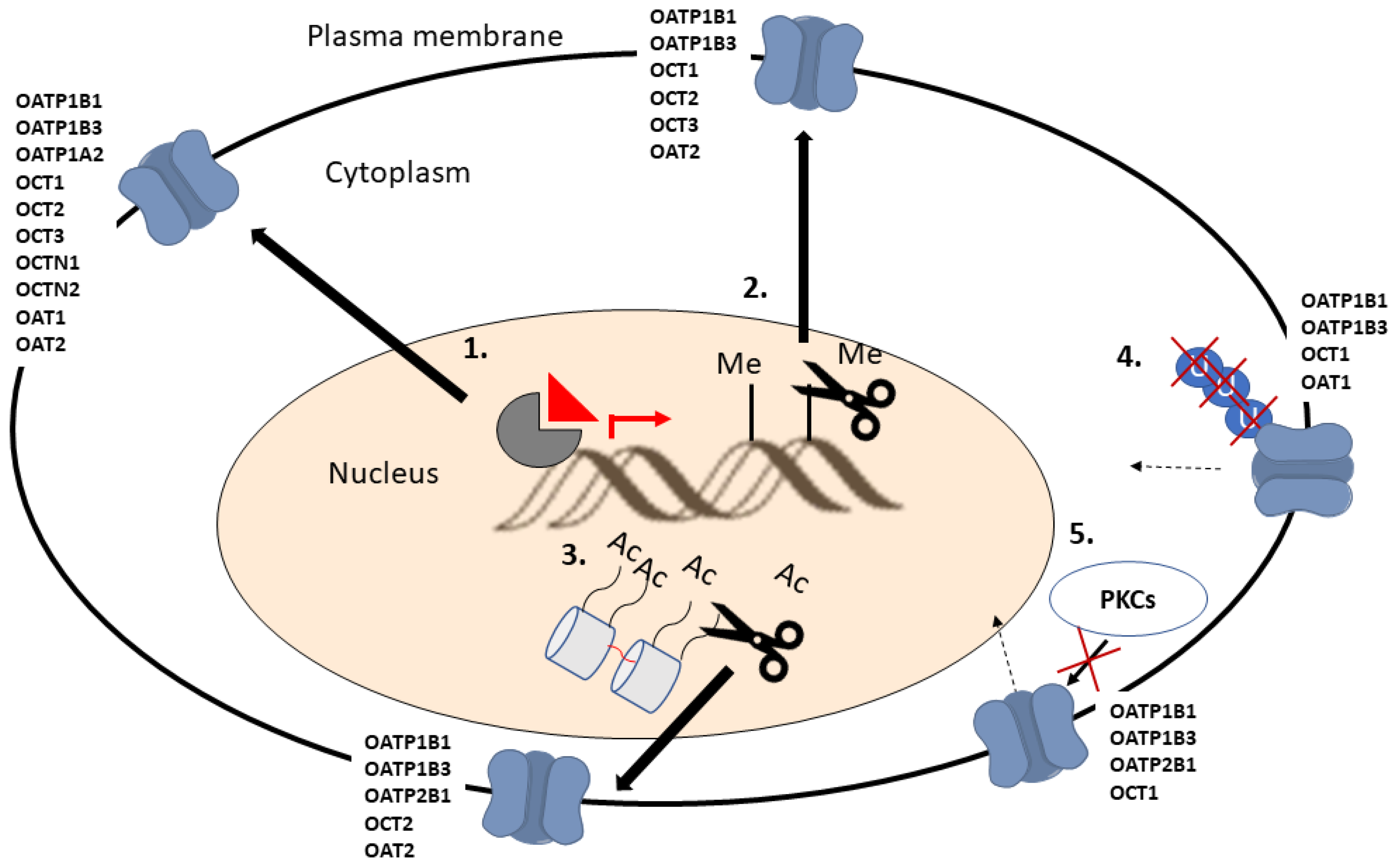 Pharmaceutics 15 00364 g003