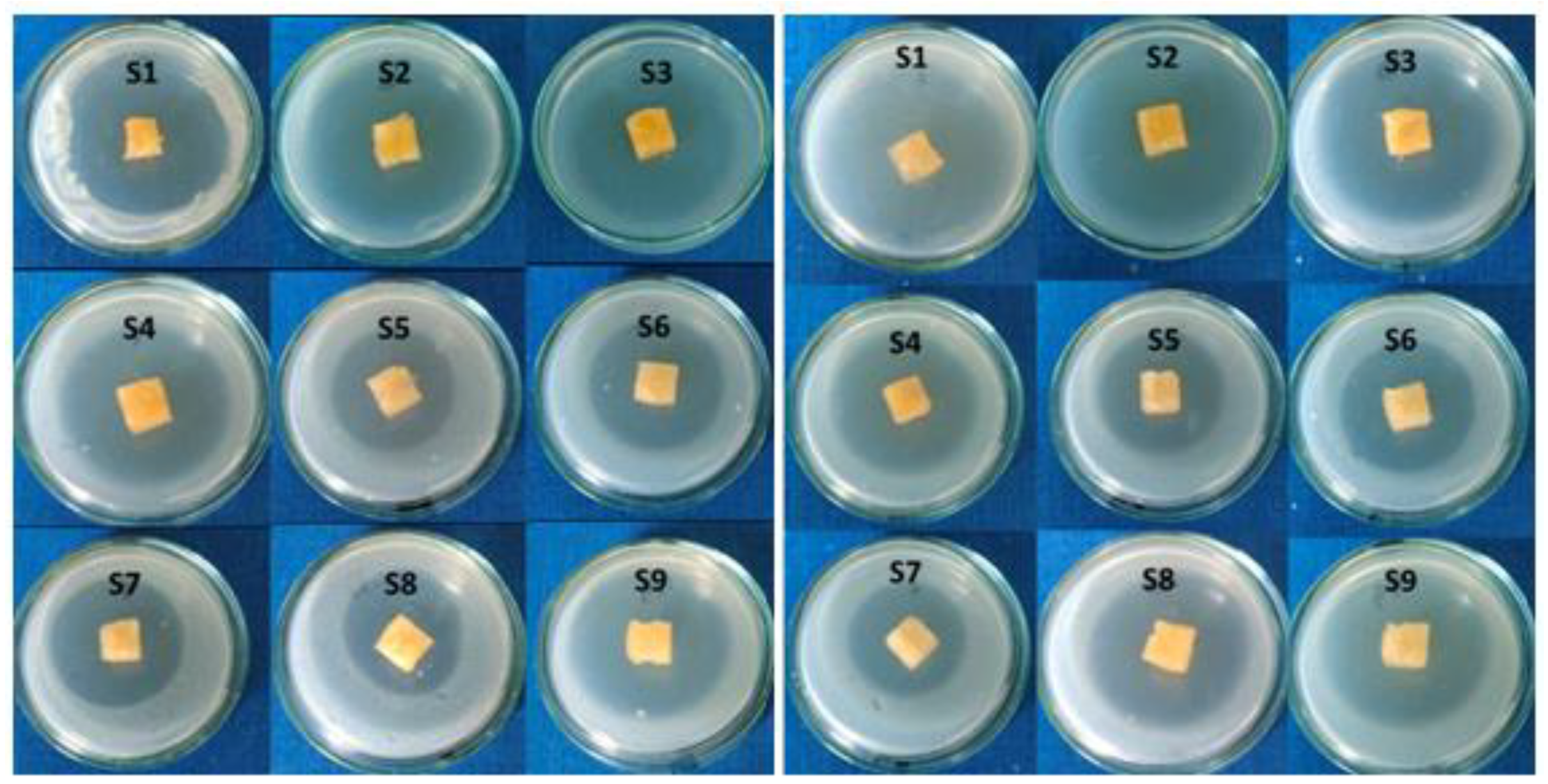 Pharmaceutics 15 00373 g008 Pharmaceutics 15 00373 g008