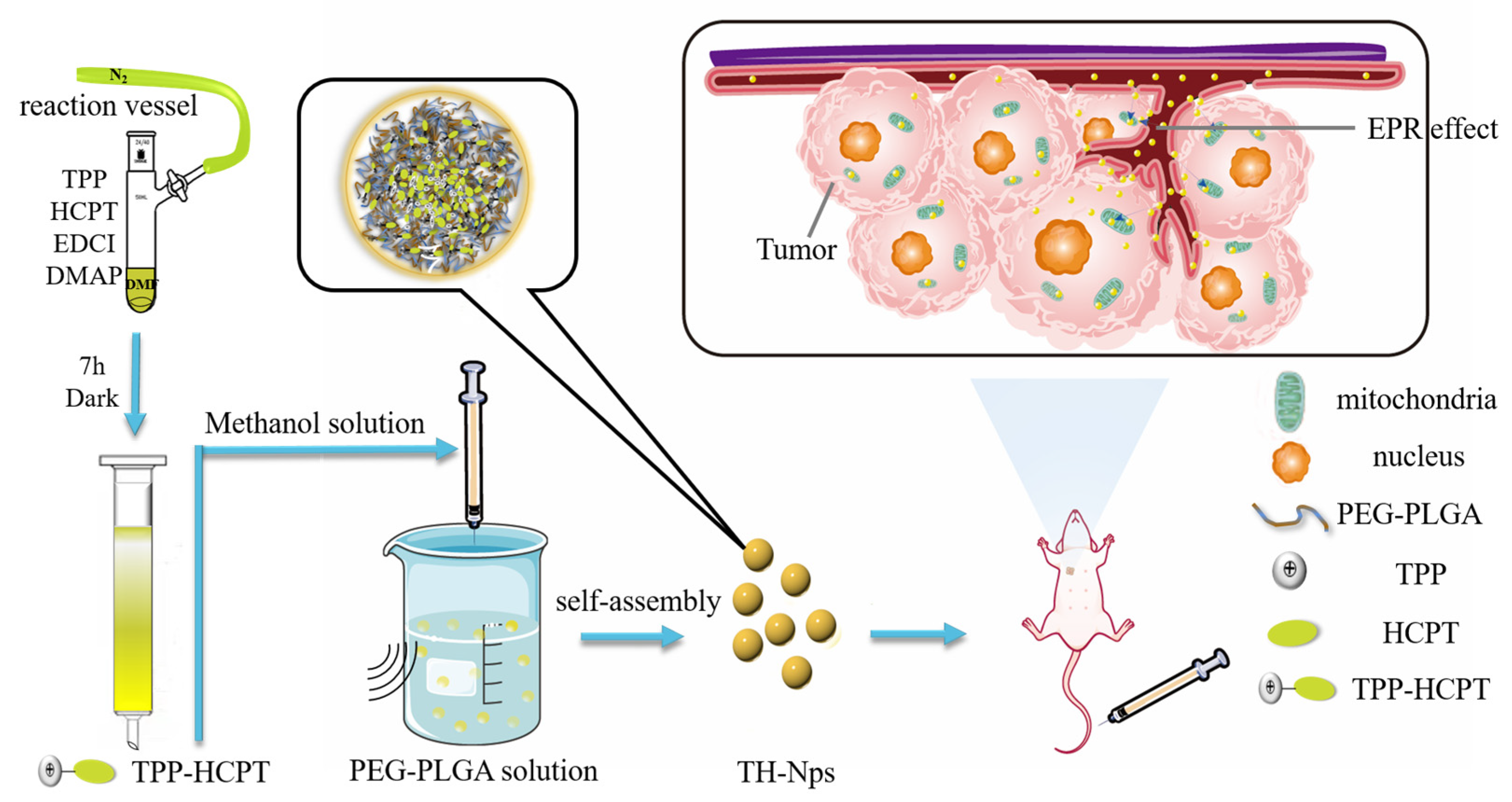 Pharmaceutics, Free Full-Text