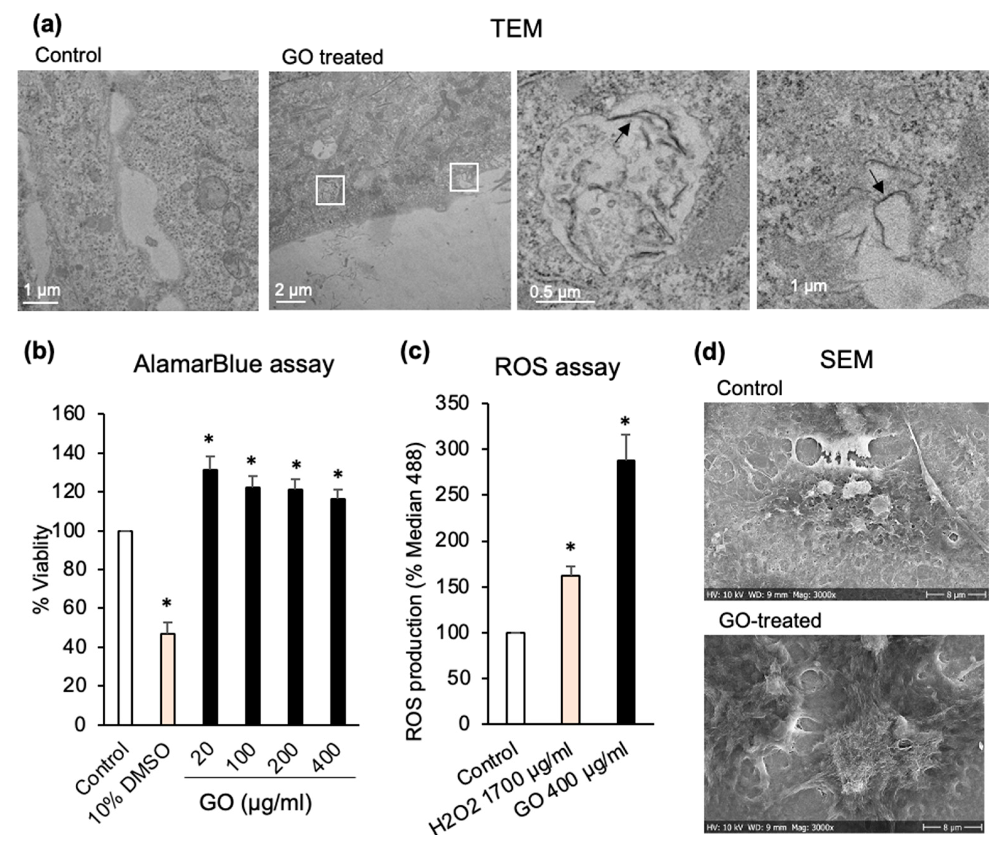 Pharmaceutics 15 00391 g002