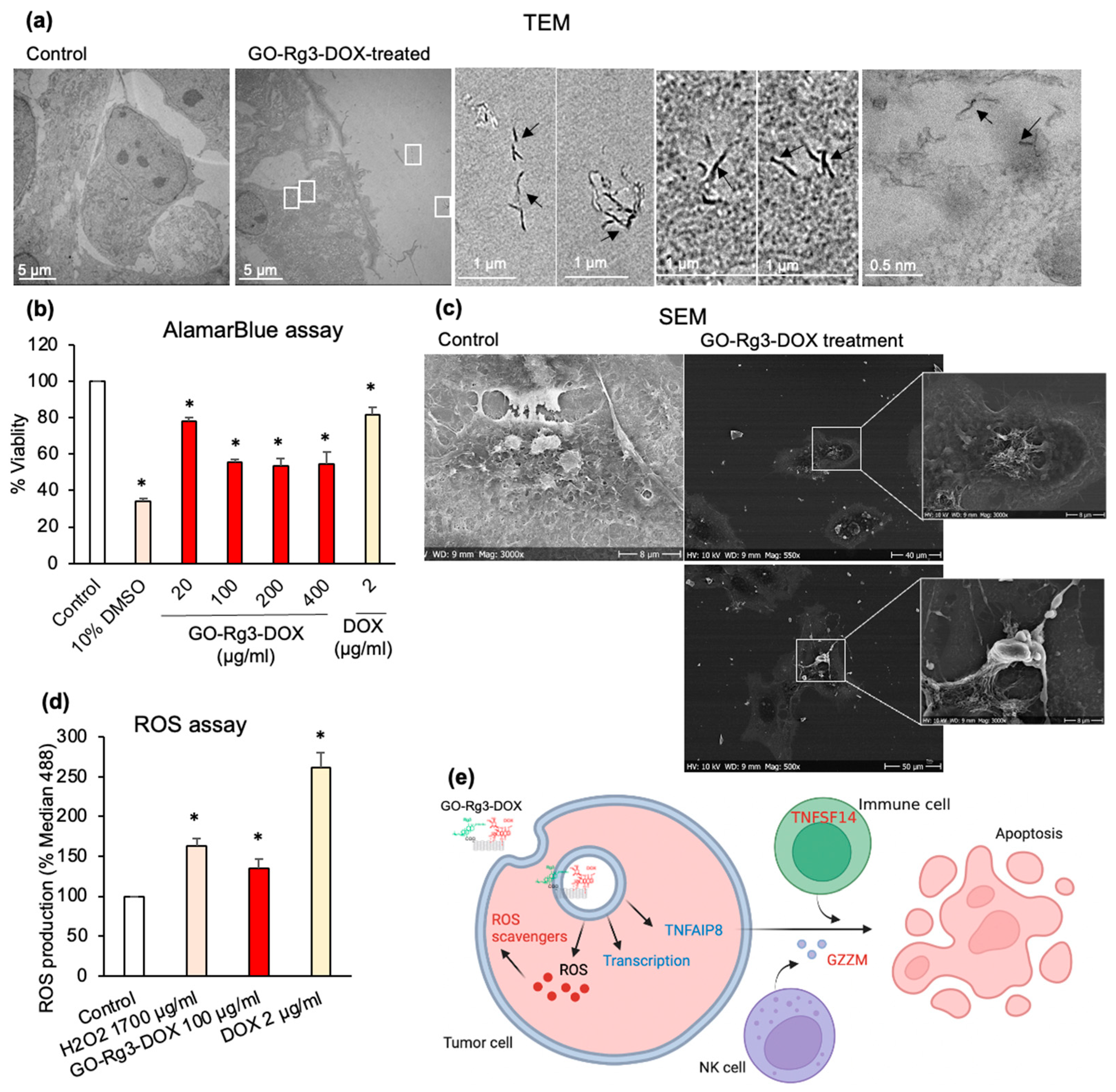 Pharmaceutics 15 00391 g005