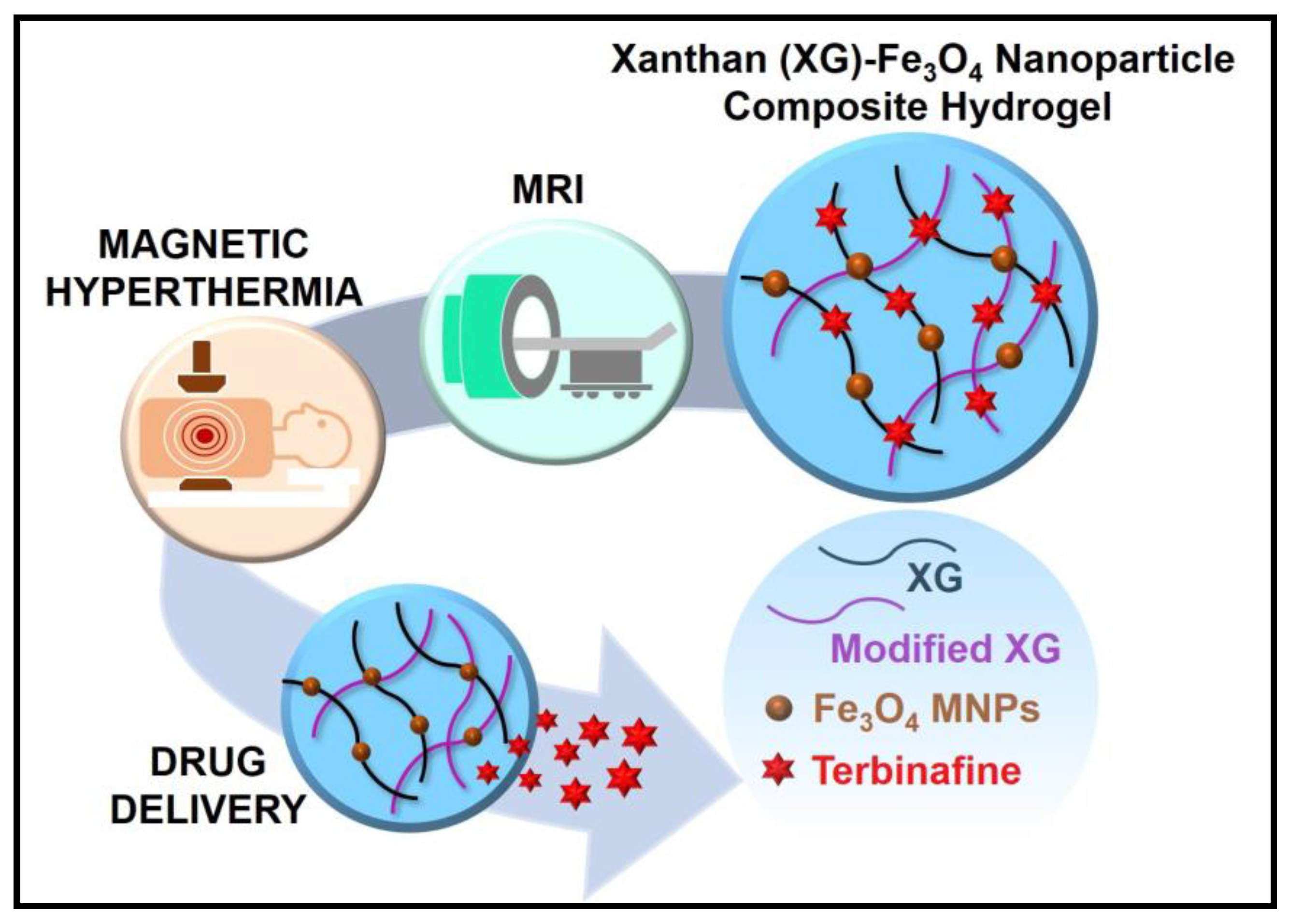 Magnetic nanoparticles