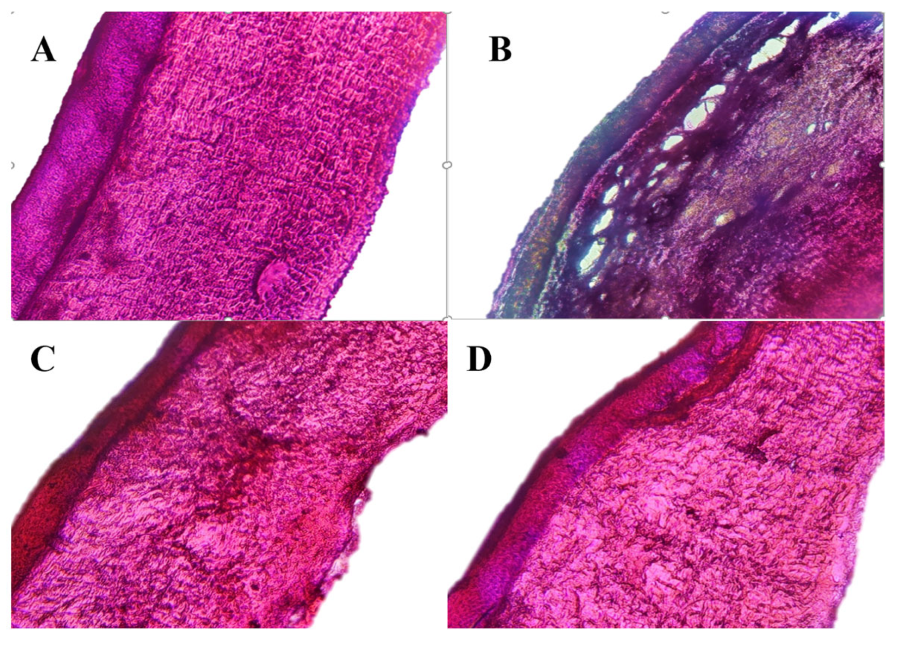 Pharmaceutics 15 00405 g009