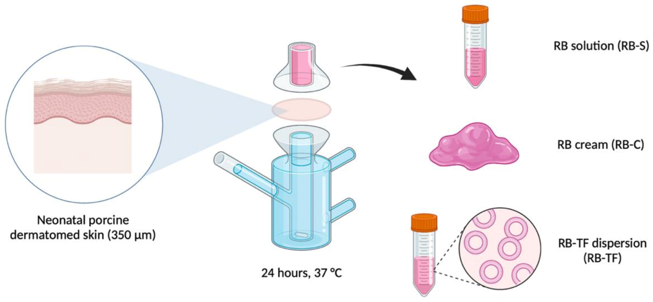 Pharmaceutics 15 00408 g003