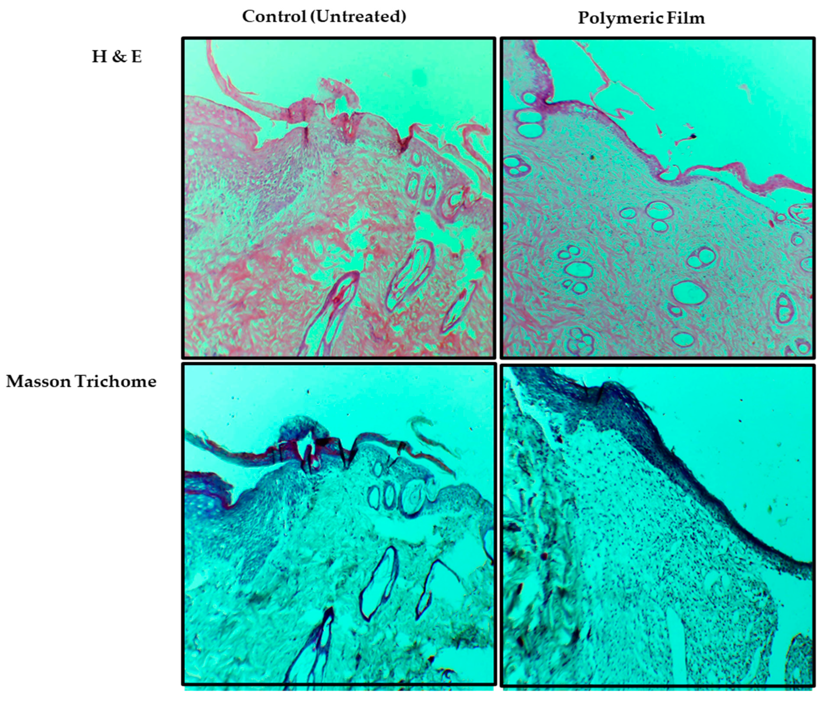 Pharmaceutics 15 00418 g011 Pharmaceutics 15 00418 g011