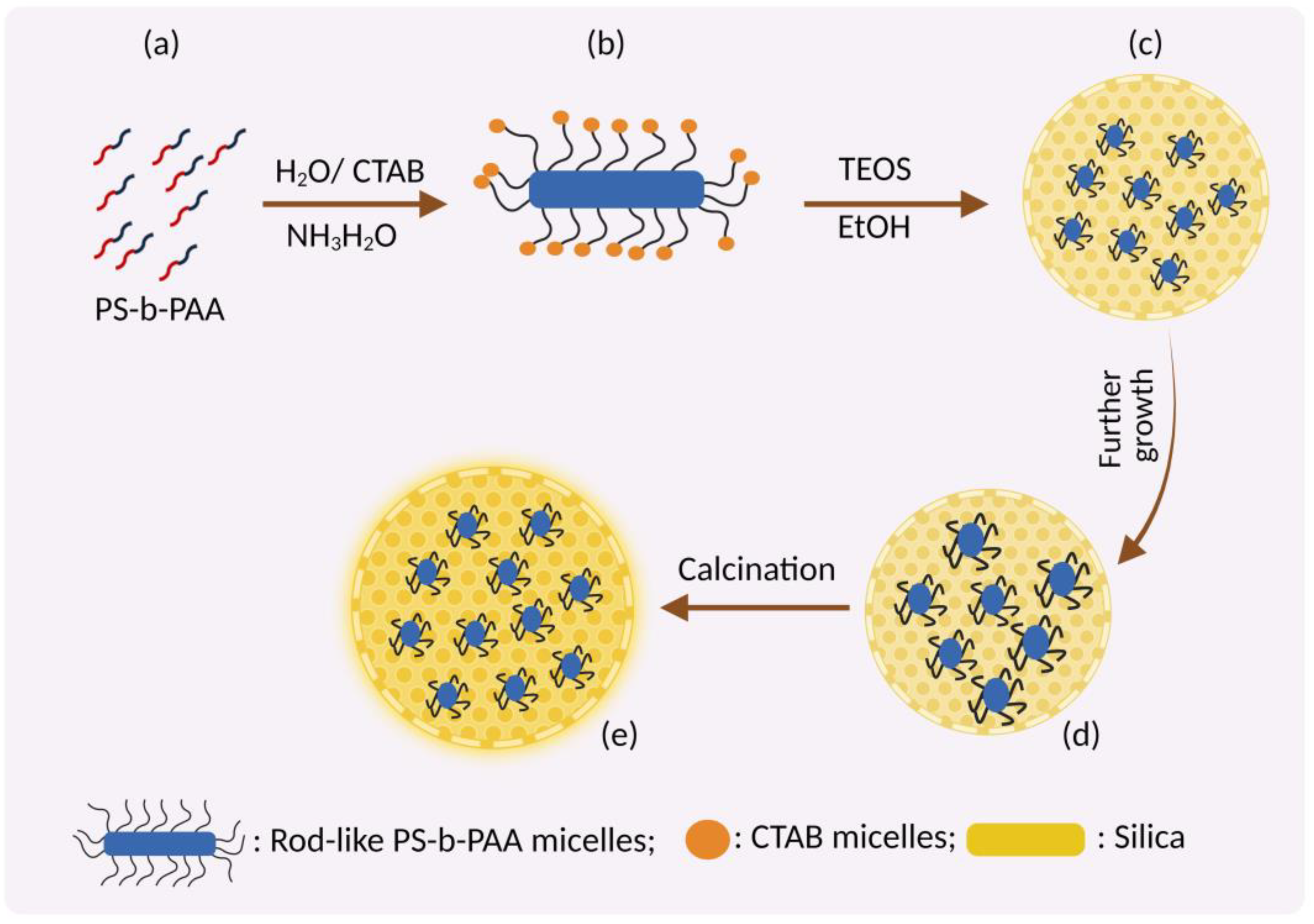 Pharmaceutics 15 00439 g004