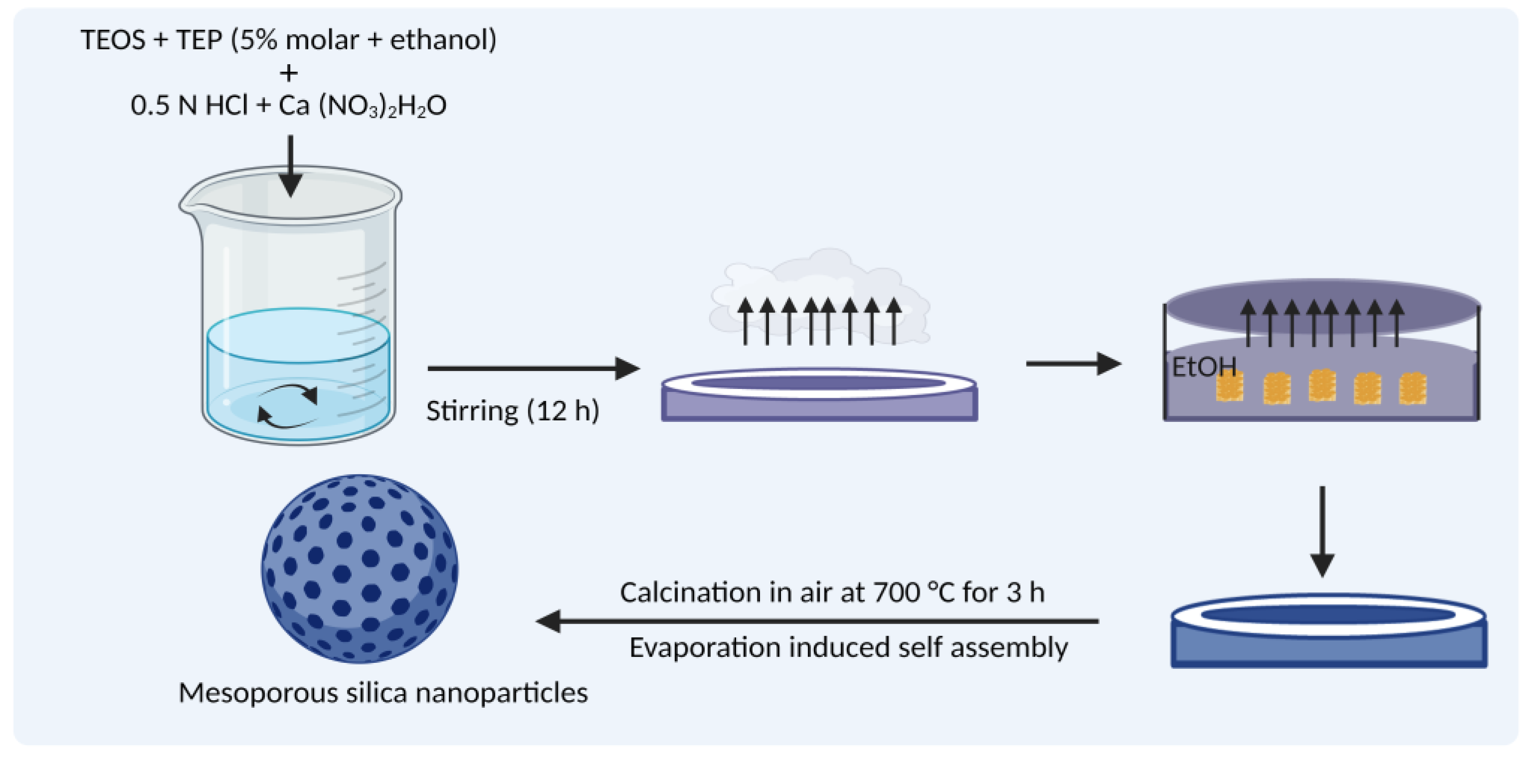 Pharmaceutics 15 00439 g006