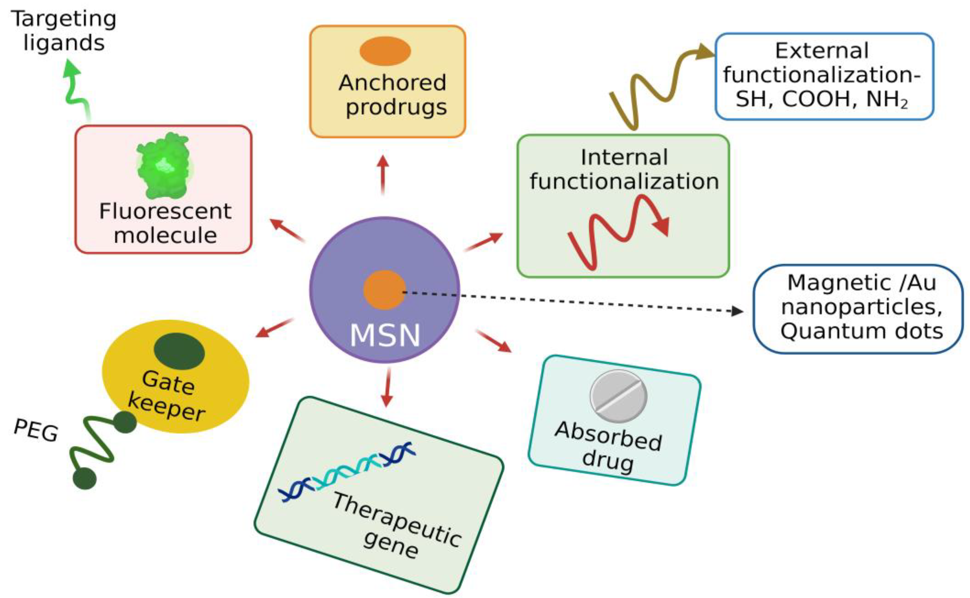 Pharmaceutics 15 00439 g007
