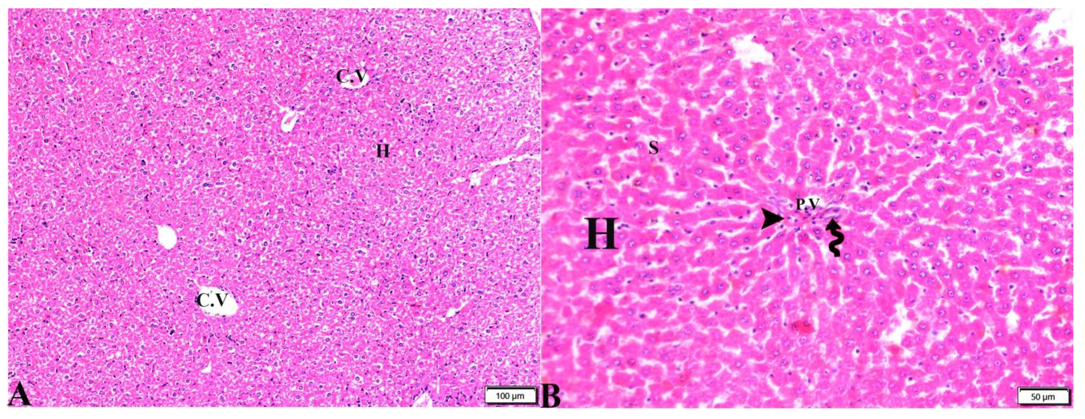 Pharmaceutics 15 00478 g002 Pharmaceutics 15 00478 g002