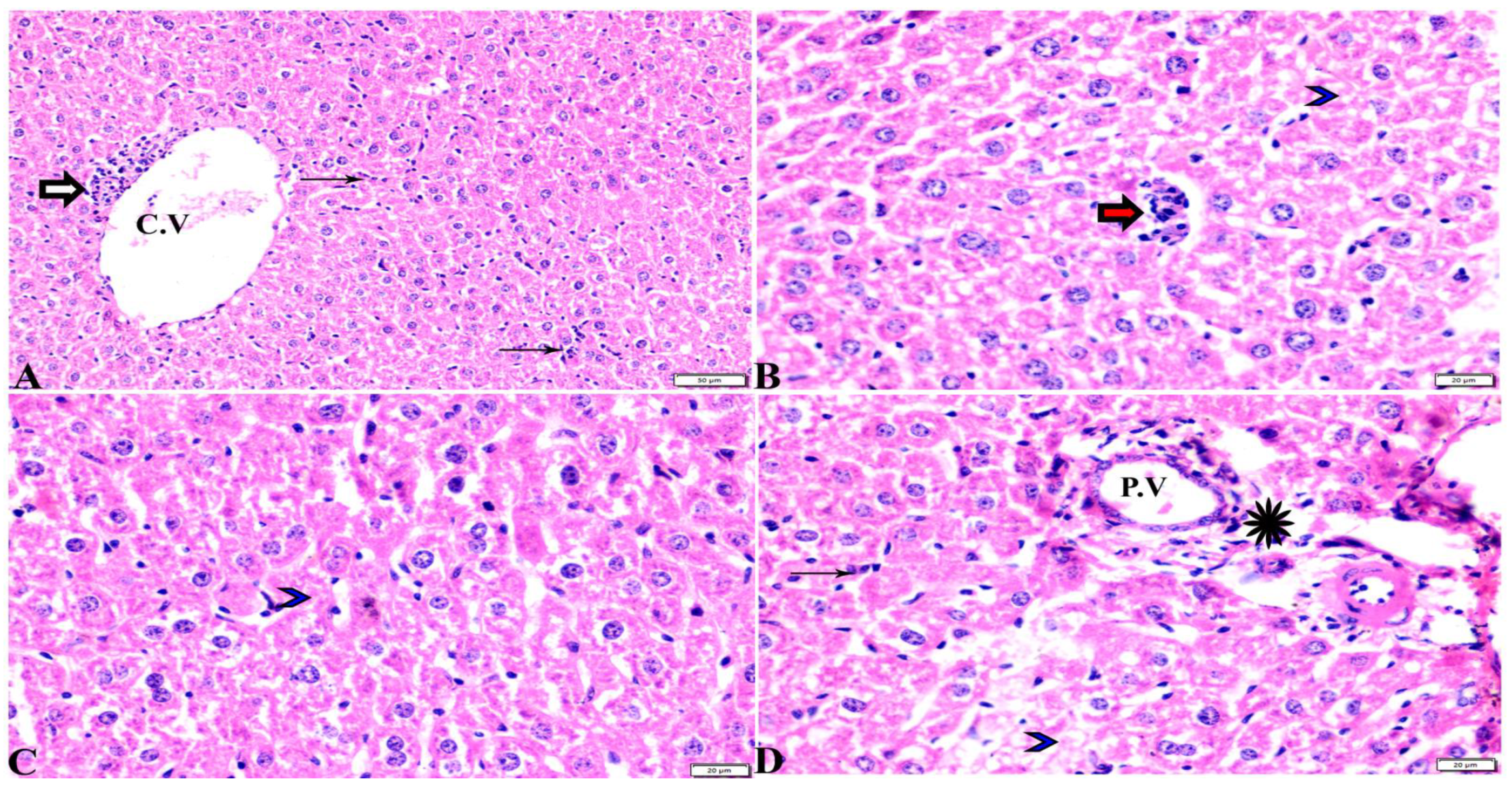 Pharmaceutics 15 00478 g003 Pharmaceutics 15 00478 g003
