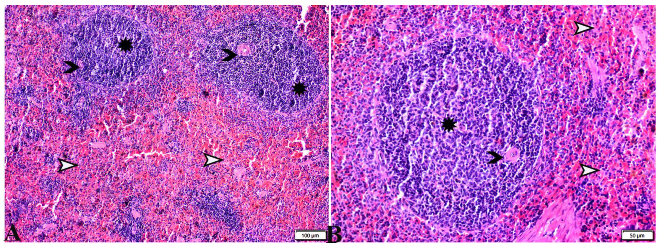 Pharmaceutics 15 00478 g007 Pharmaceutics 15 00478 g007