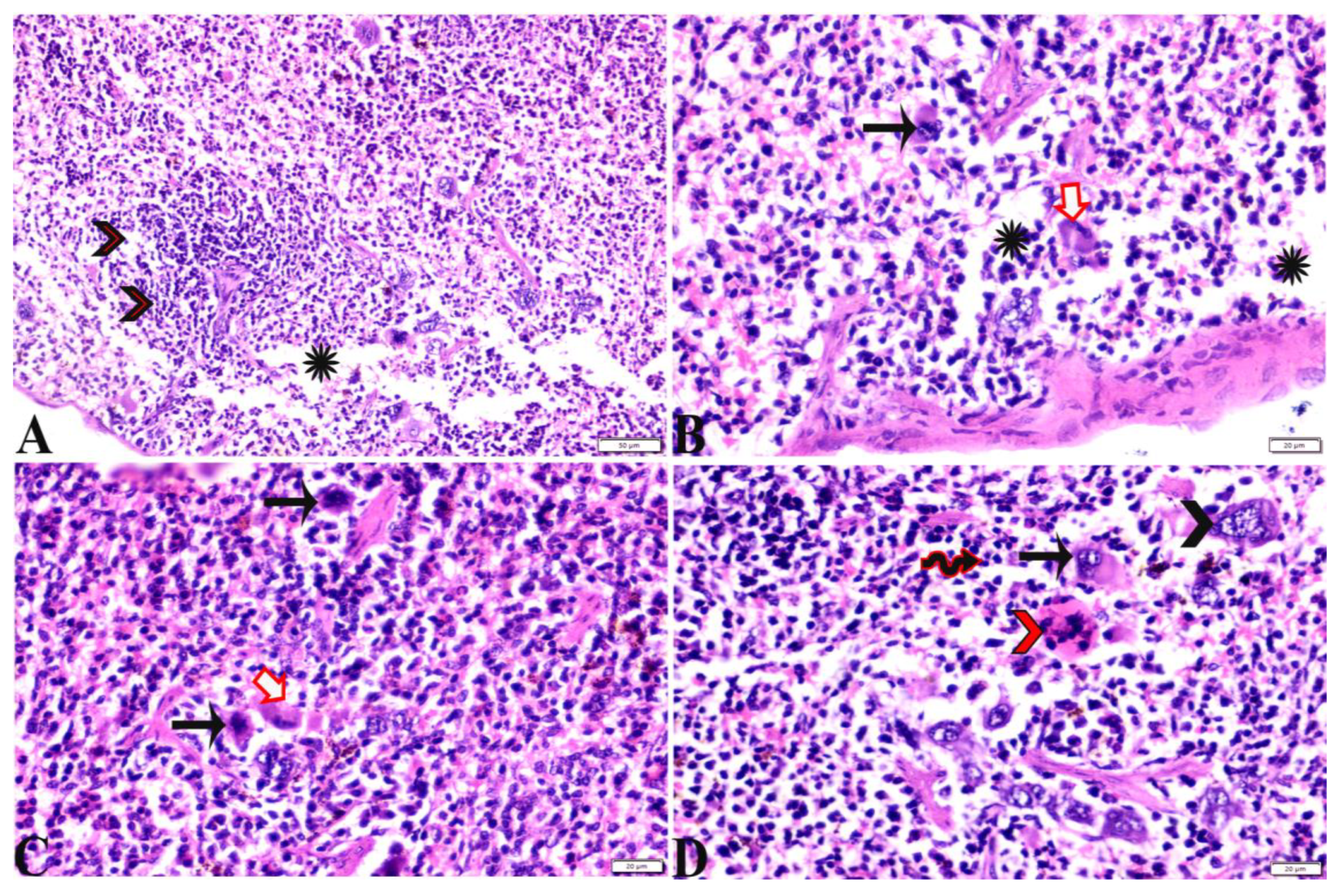 Pharmaceutics 15 00478 g008 Pharmaceutics 15 00478 g008