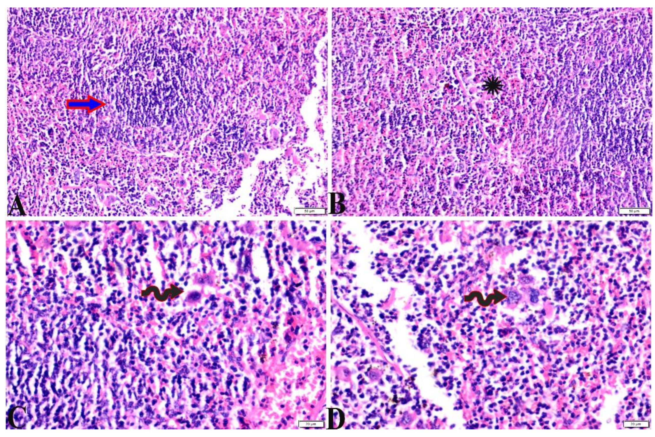 Pharmaceutics 15 00478 g009 Pharmaceutics 15 00478 g009