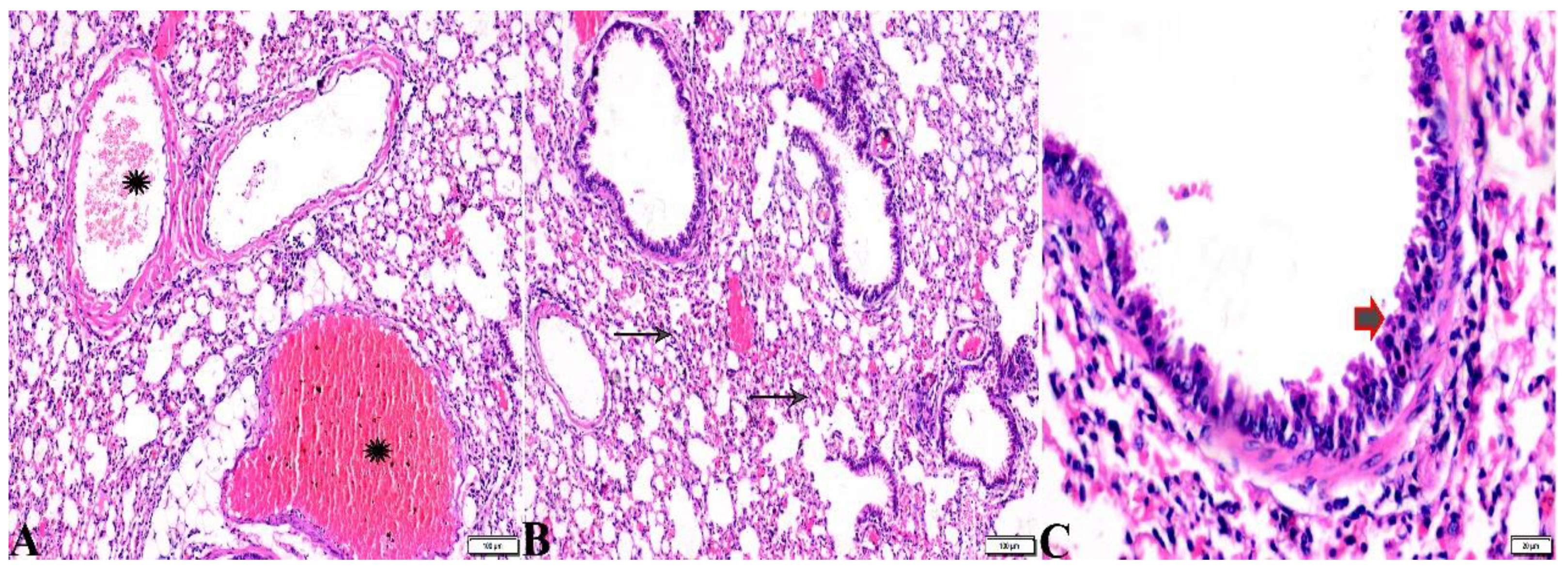 Pharmaceutics 15 00478 g012 Pharmaceutics 15 00478 g012