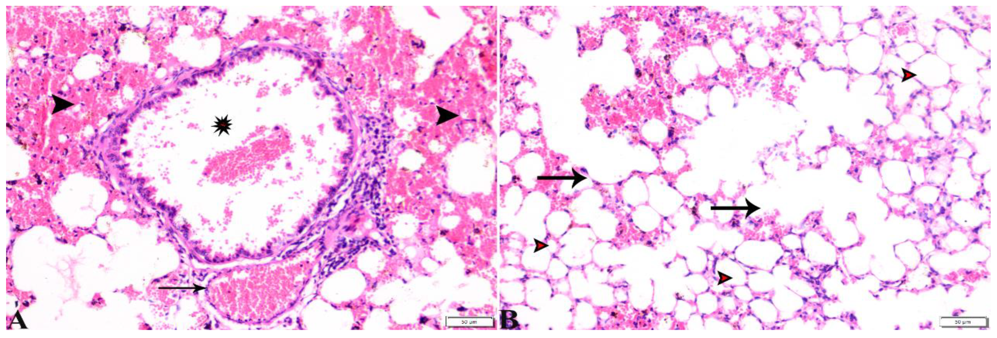 Pharmaceutics 15 00478 g013 Pharmaceutics 15 00478 g013