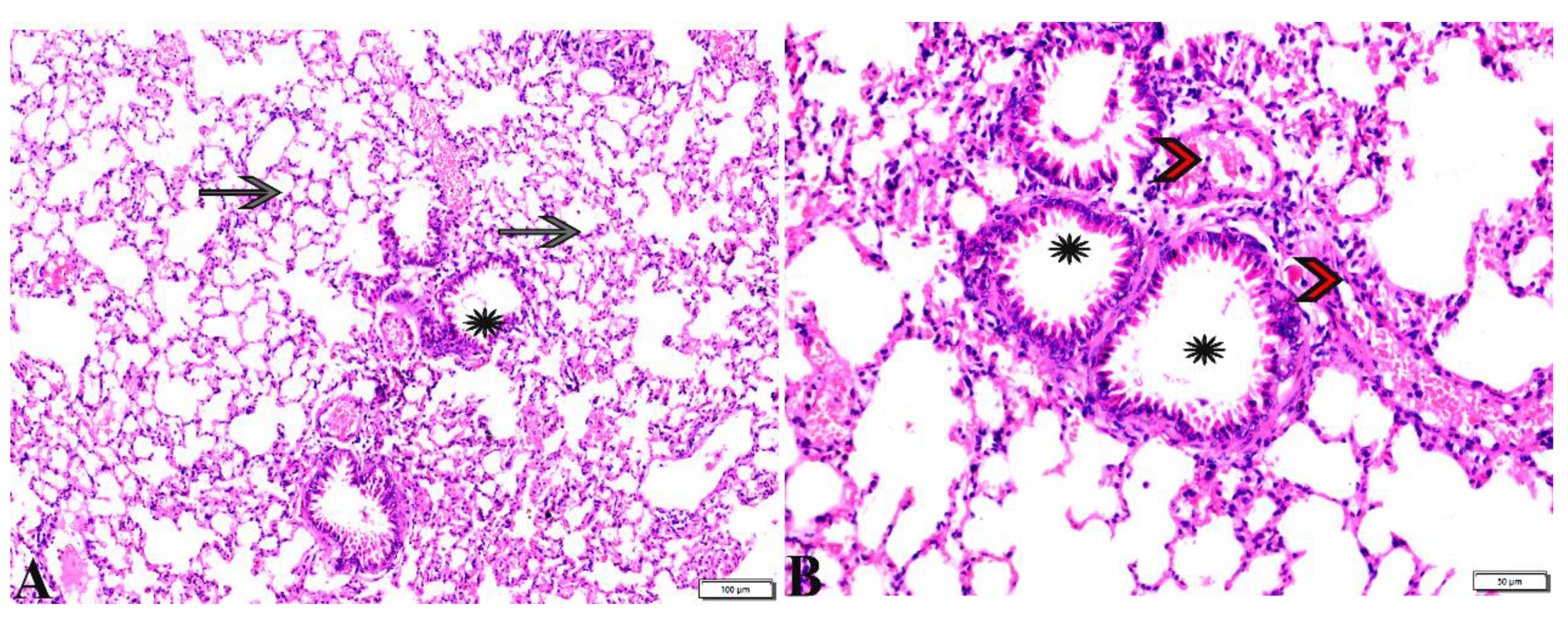 Pharmaceutics 15 00478 g015 Pharmaceutics 15 00478 g015