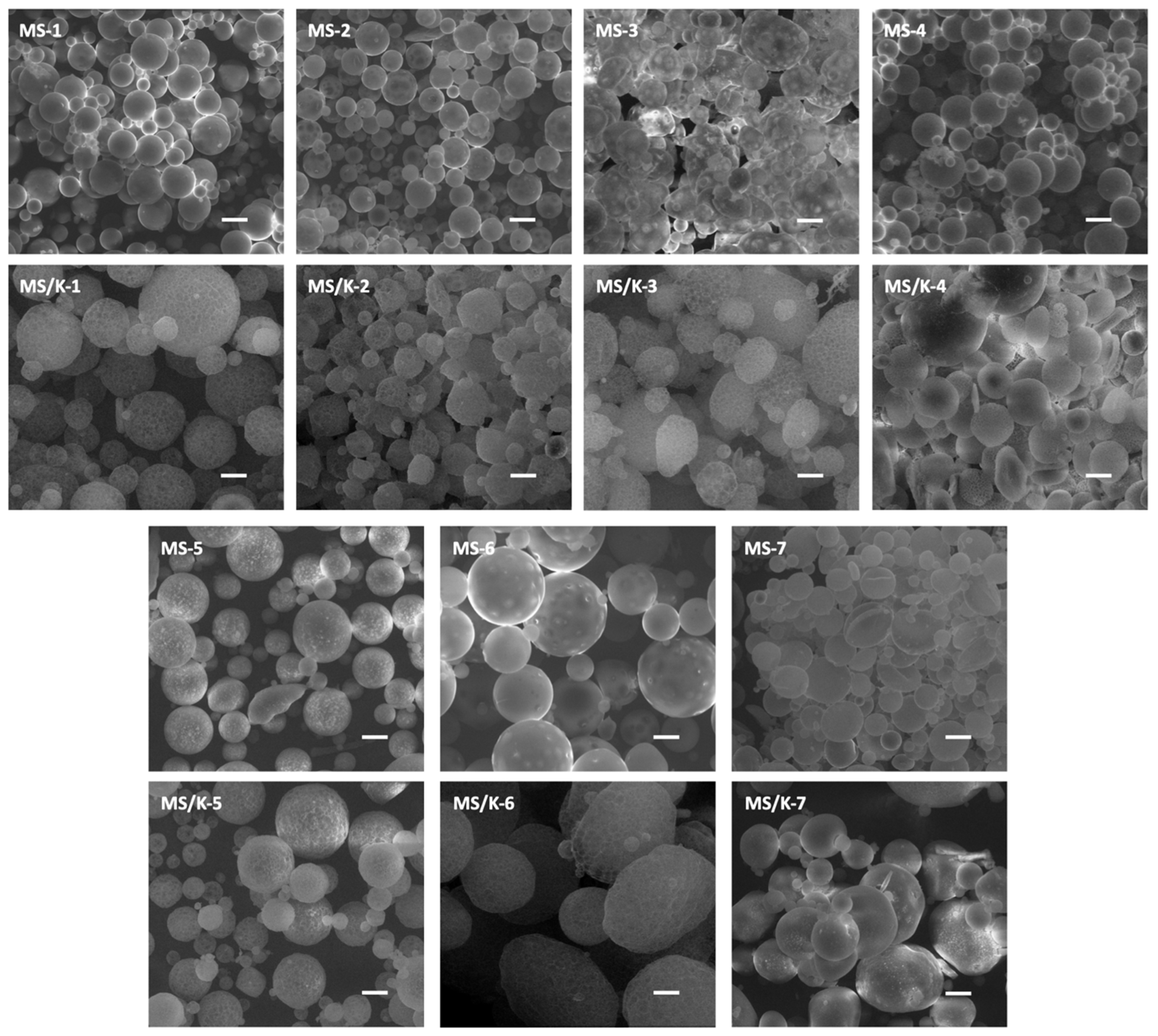 Pharmaceutics 15 00479 g002 Pharmaceutics 15 00479 g002