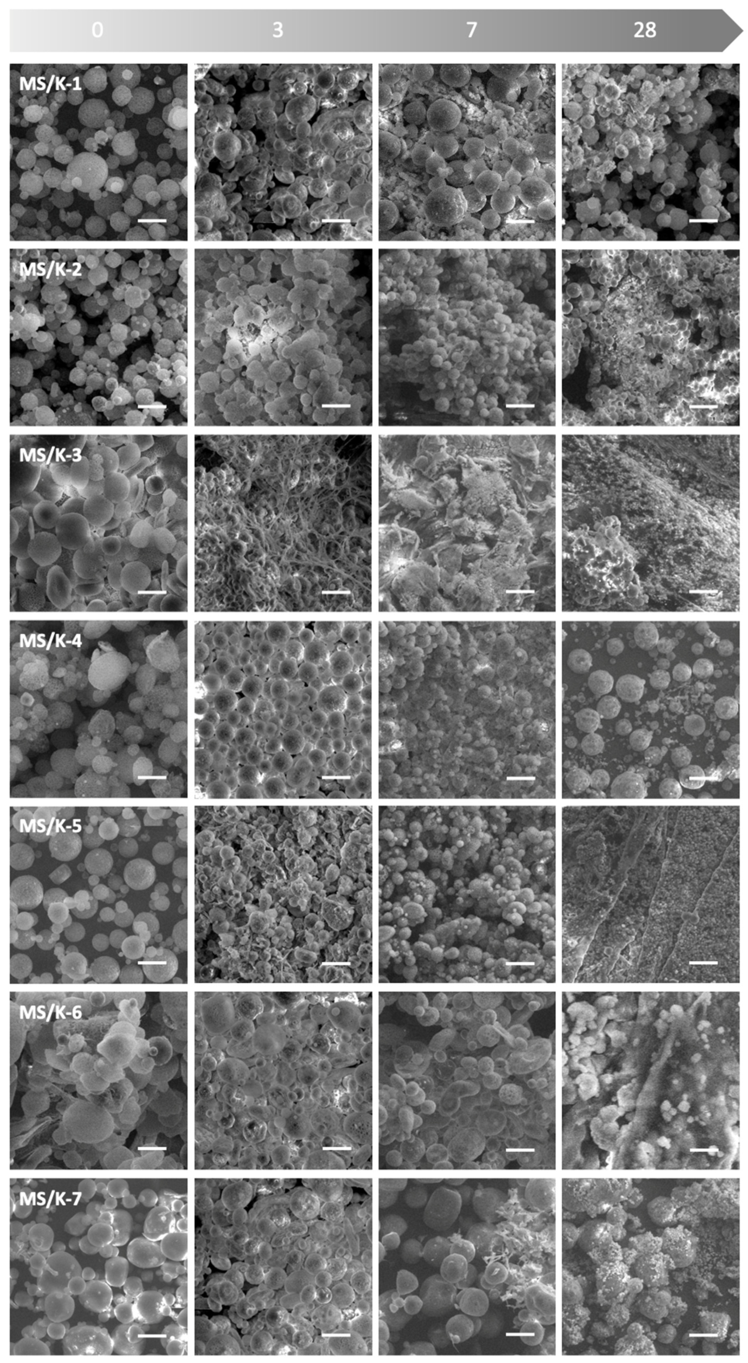 Pharmaceutics 15 00479 g007 Pharmaceutics 15 00479 g007