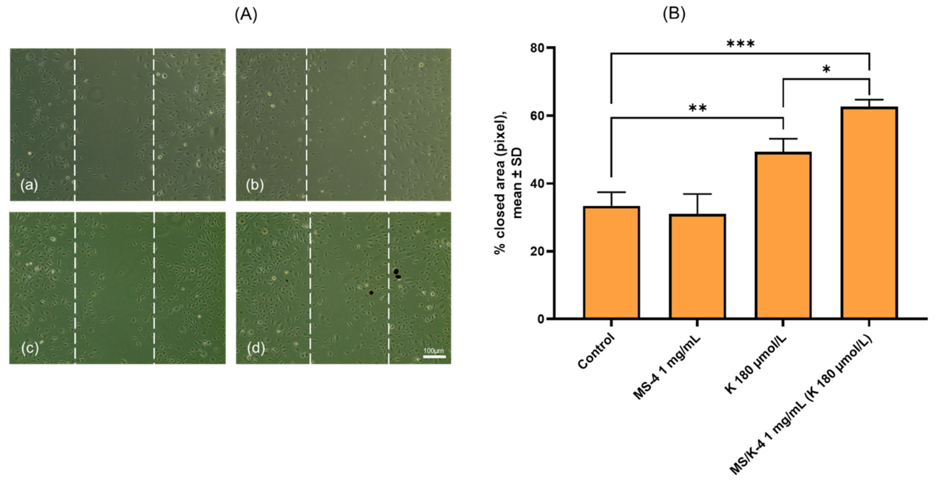 Pharmaceutics 15 00479 g010 Pharmaceutics 15 00479 g010
