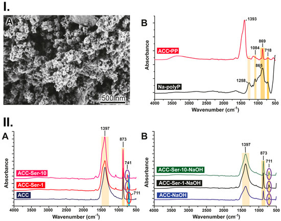 The nano- and meso-scale structure of amorphous calcium carbonate