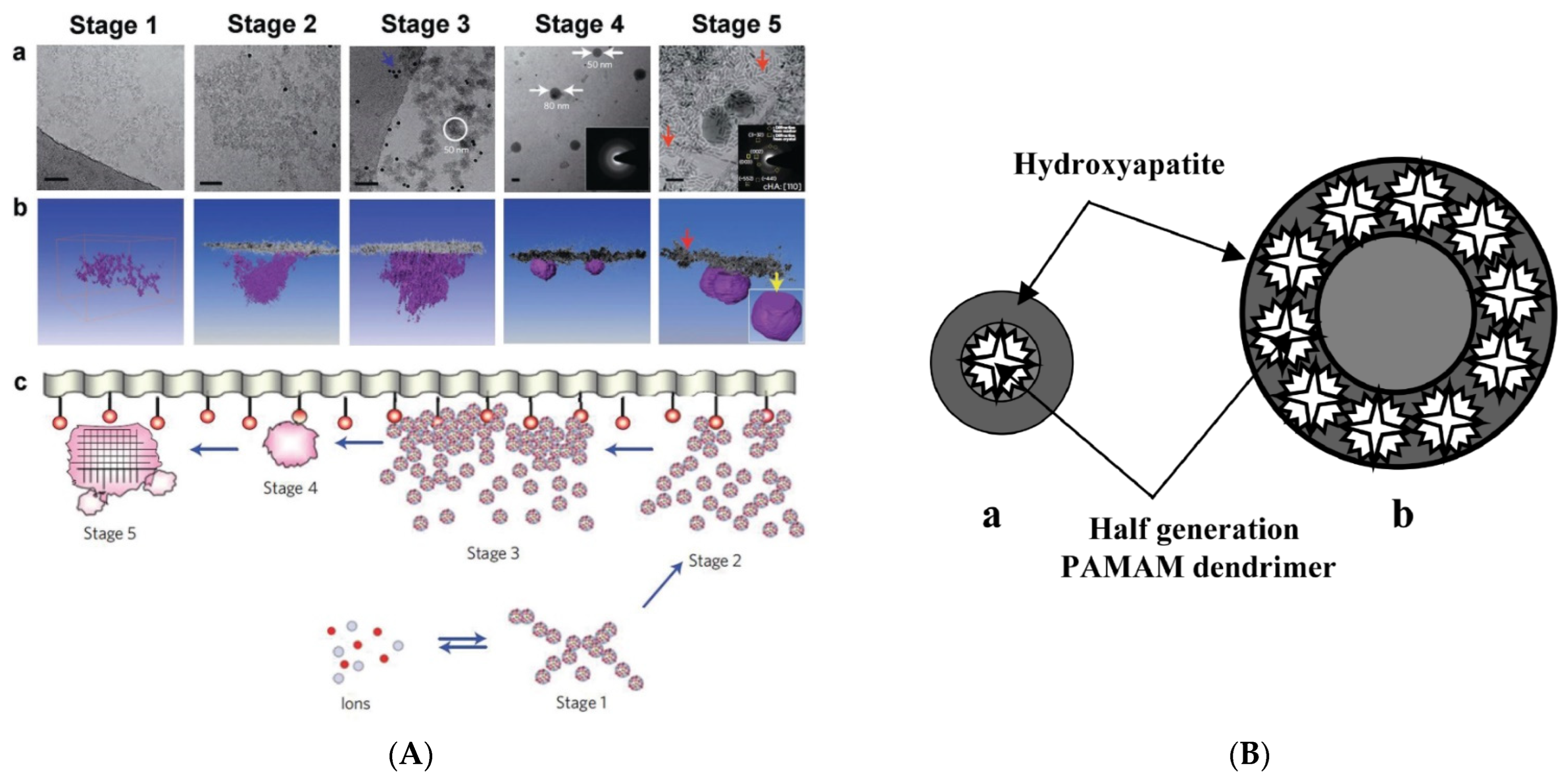 Pharmaceutics 15 00524 g012a Pharmaceutics 15 00524 g012a
