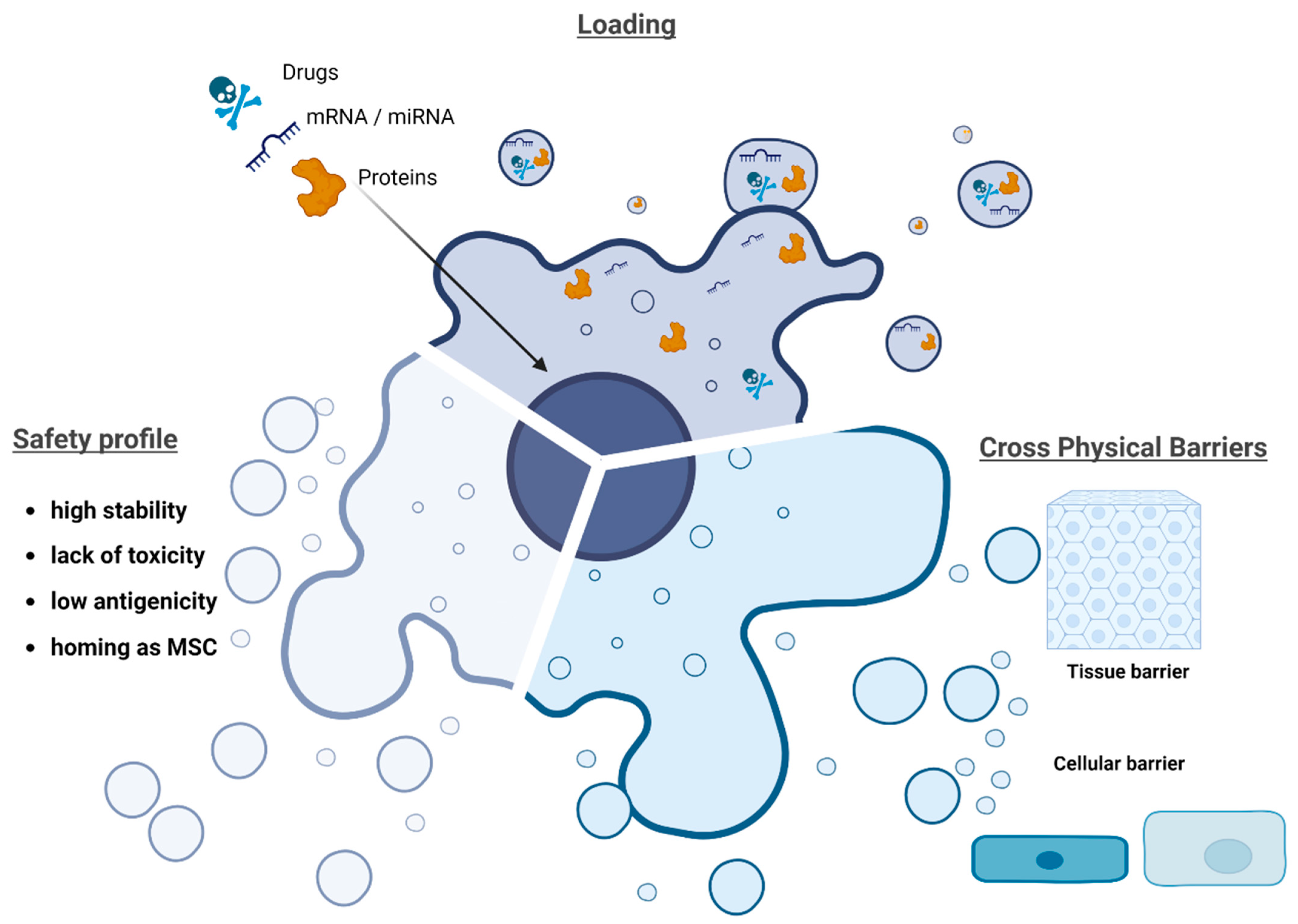 Pharmaceutics 15 00558 g002