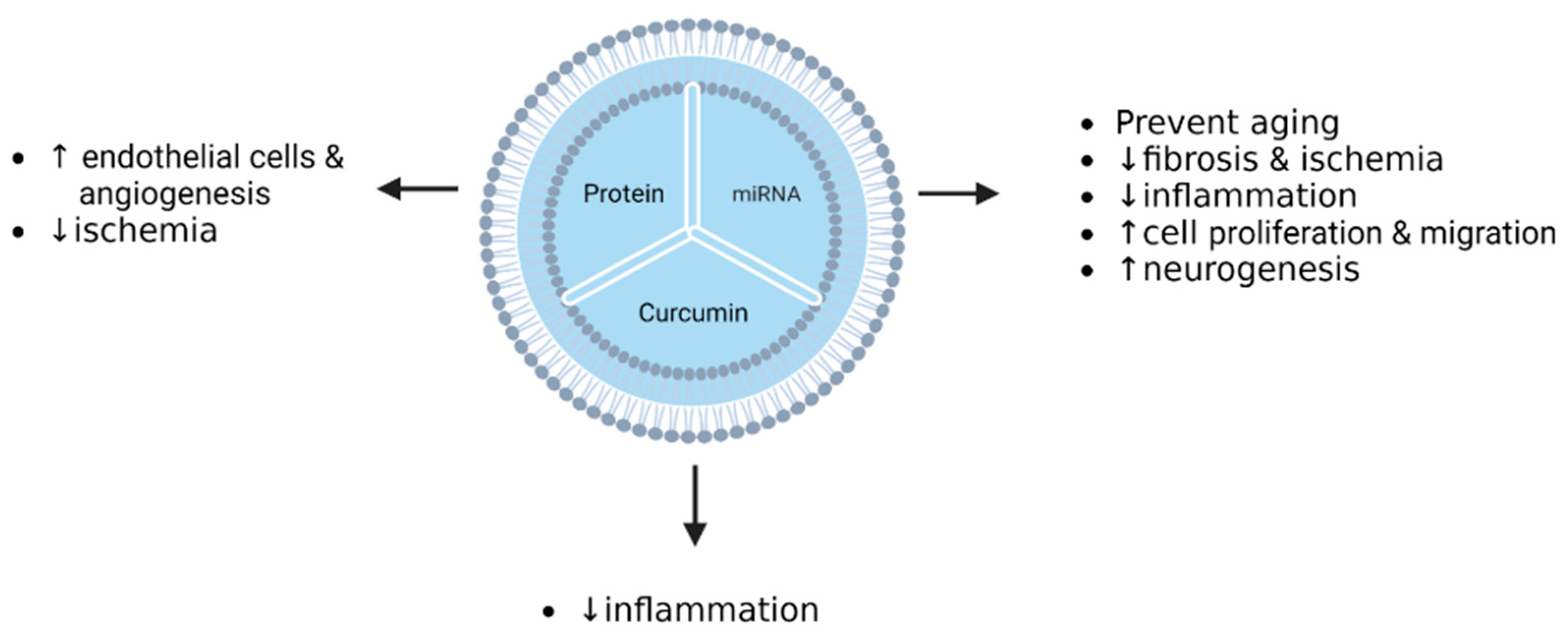 Pharmaceutics 15 00558 g005