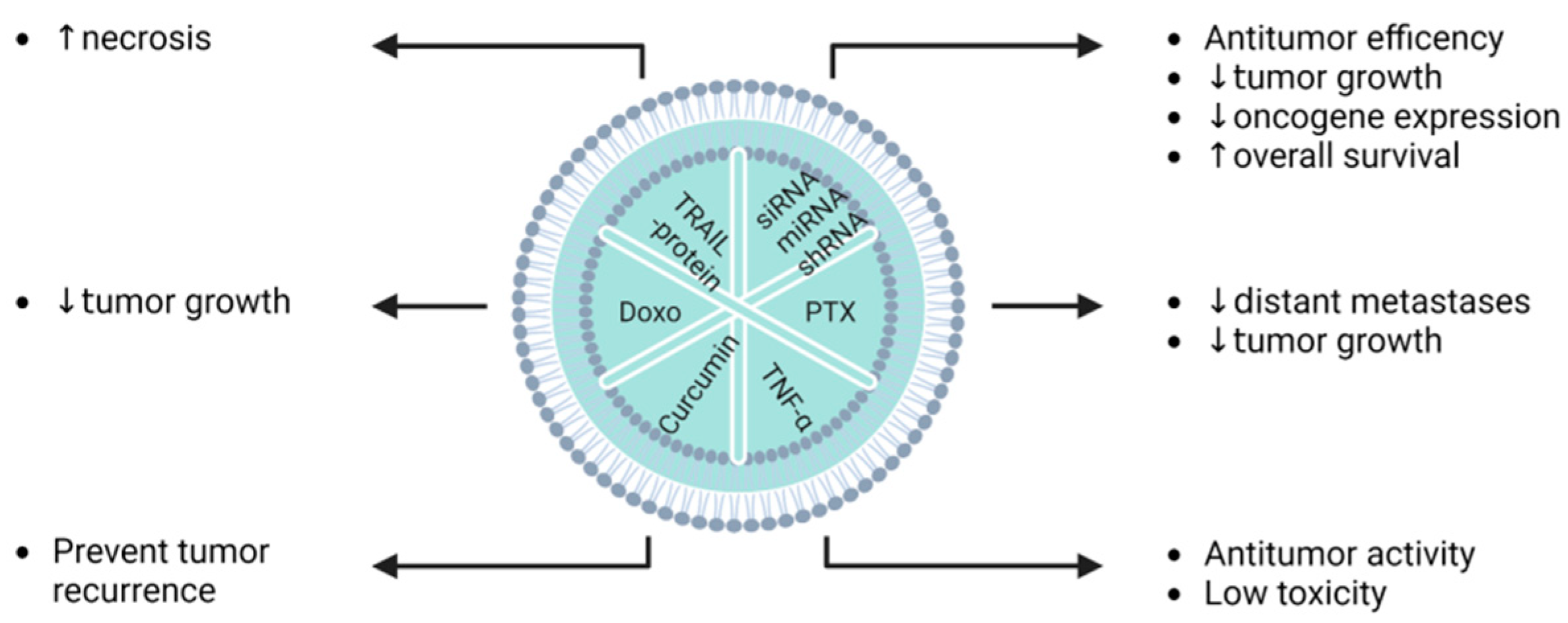 Pharmaceutics 15 00558 g006