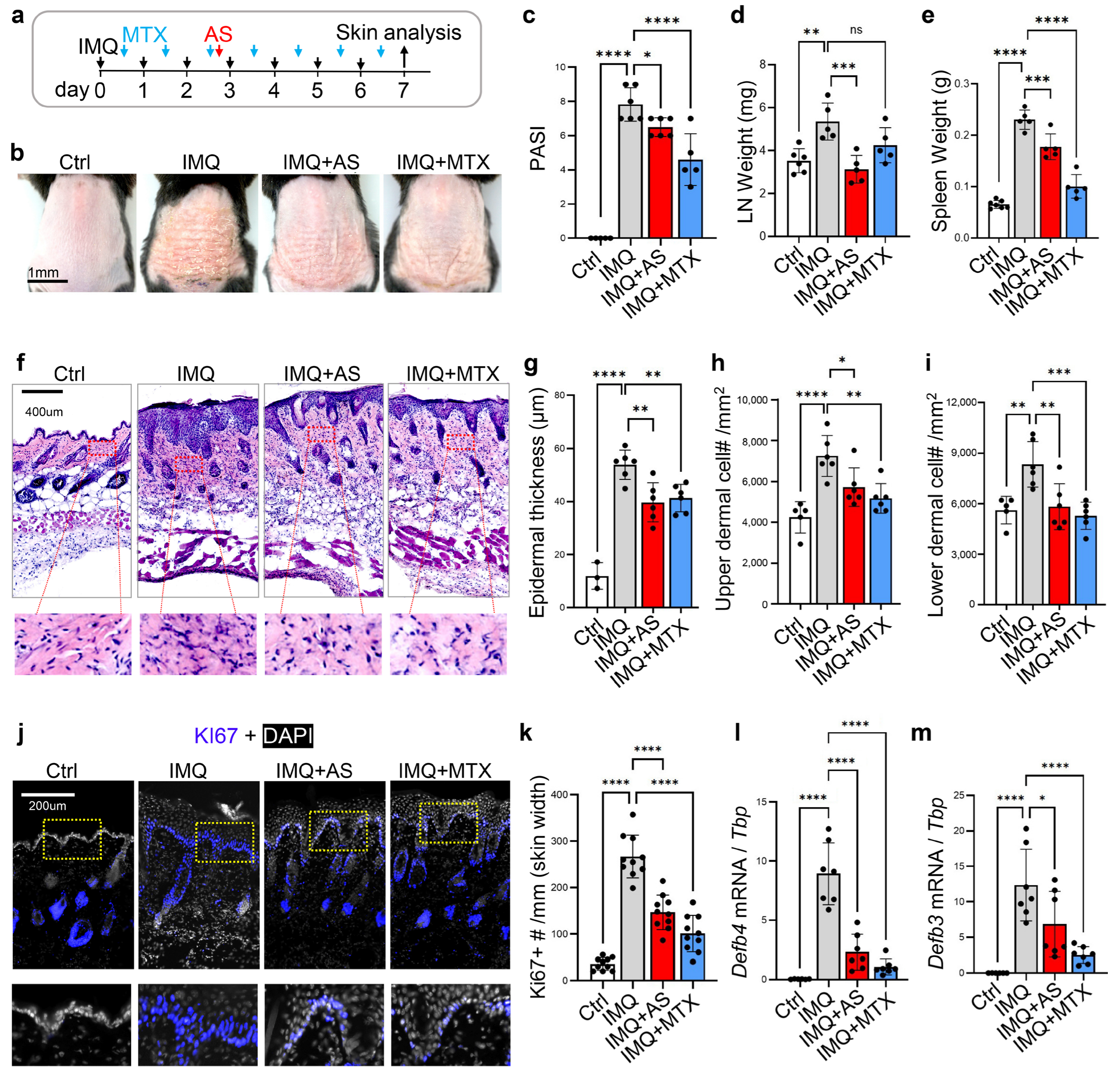 Pharmaceutics 15 00576 g001 Pharmaceutics 15 00576 g001