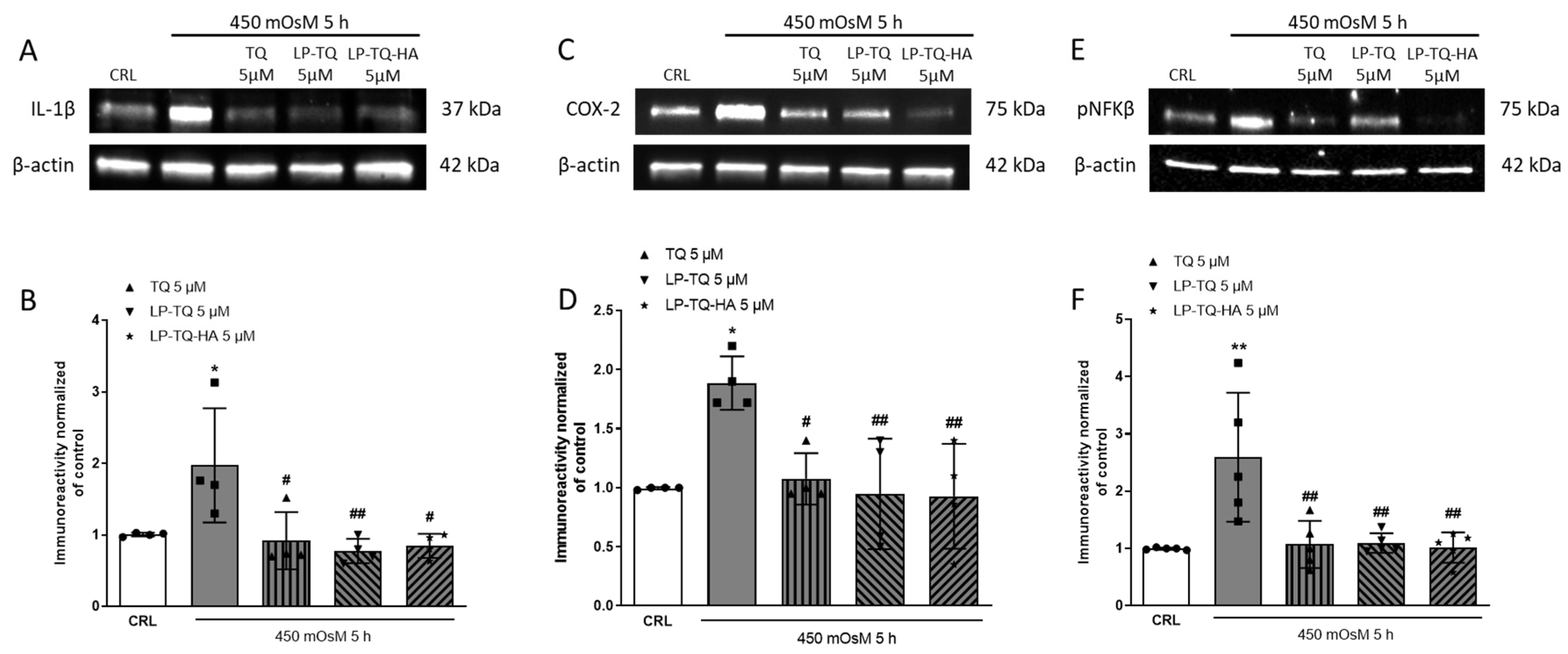 Pharmaceutics 15 00578 g003