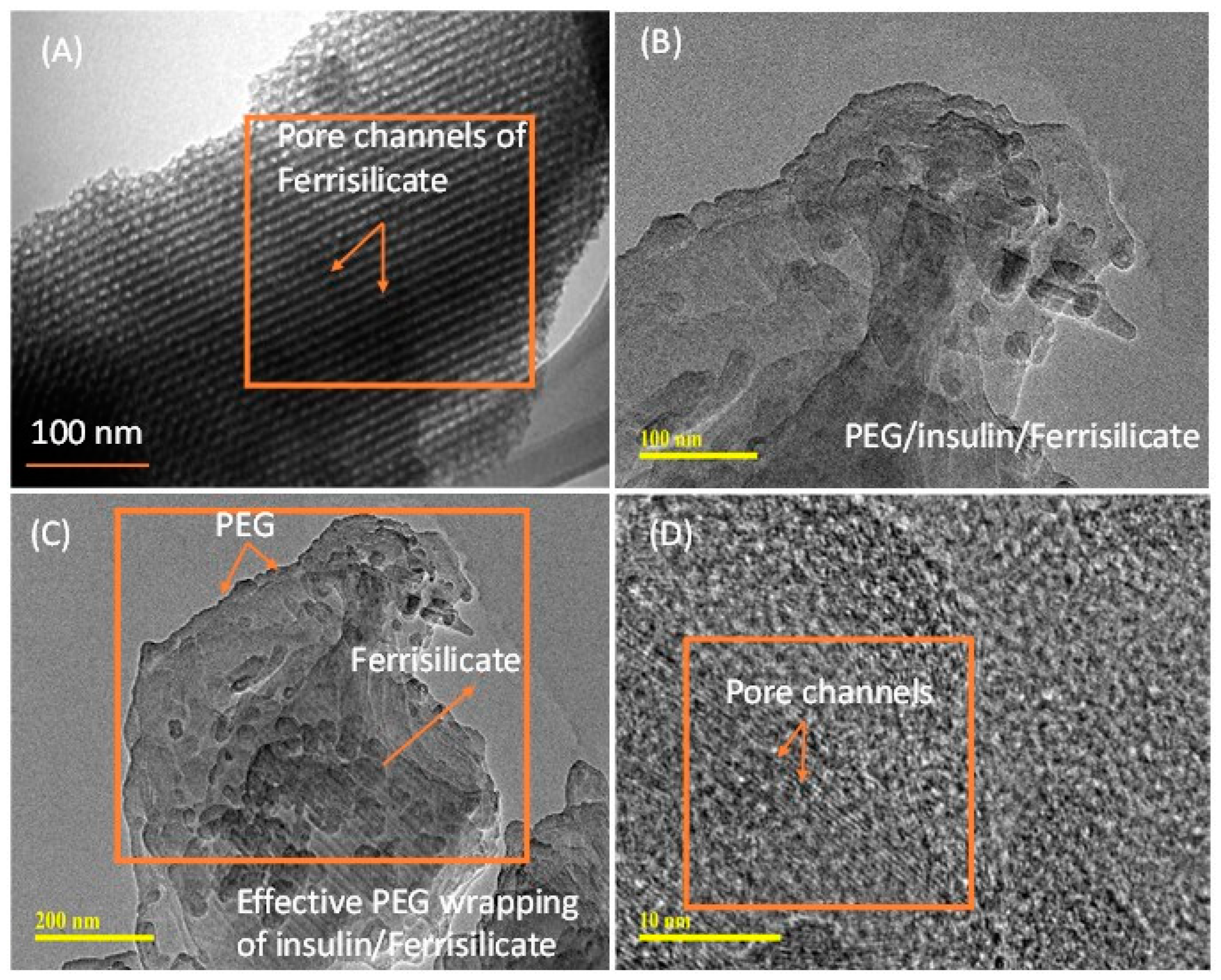 Pharmaceutics 15 00593 g003