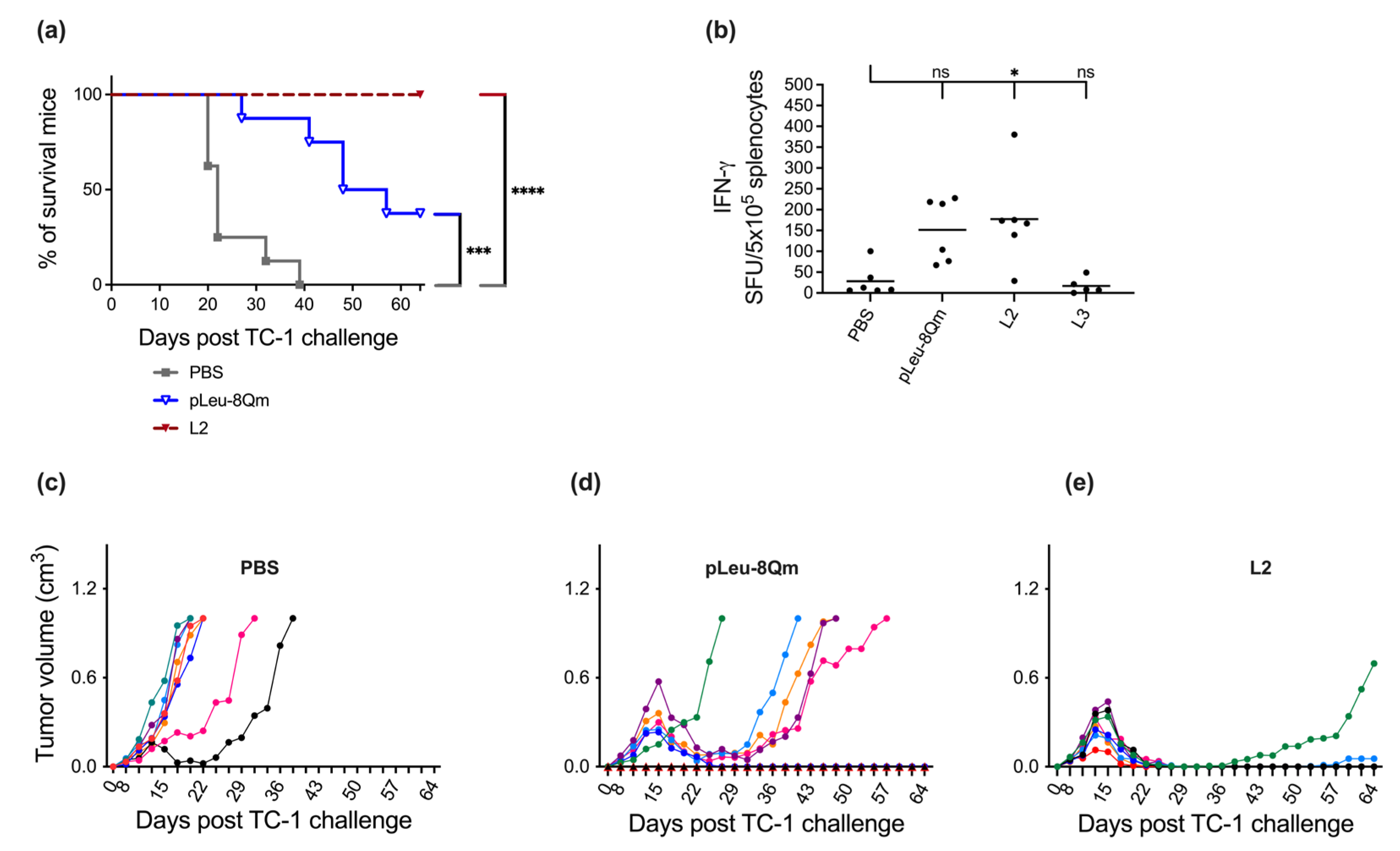 Pharmaceutics 15 00602 g002 Pharmaceutics 15 00602 g002