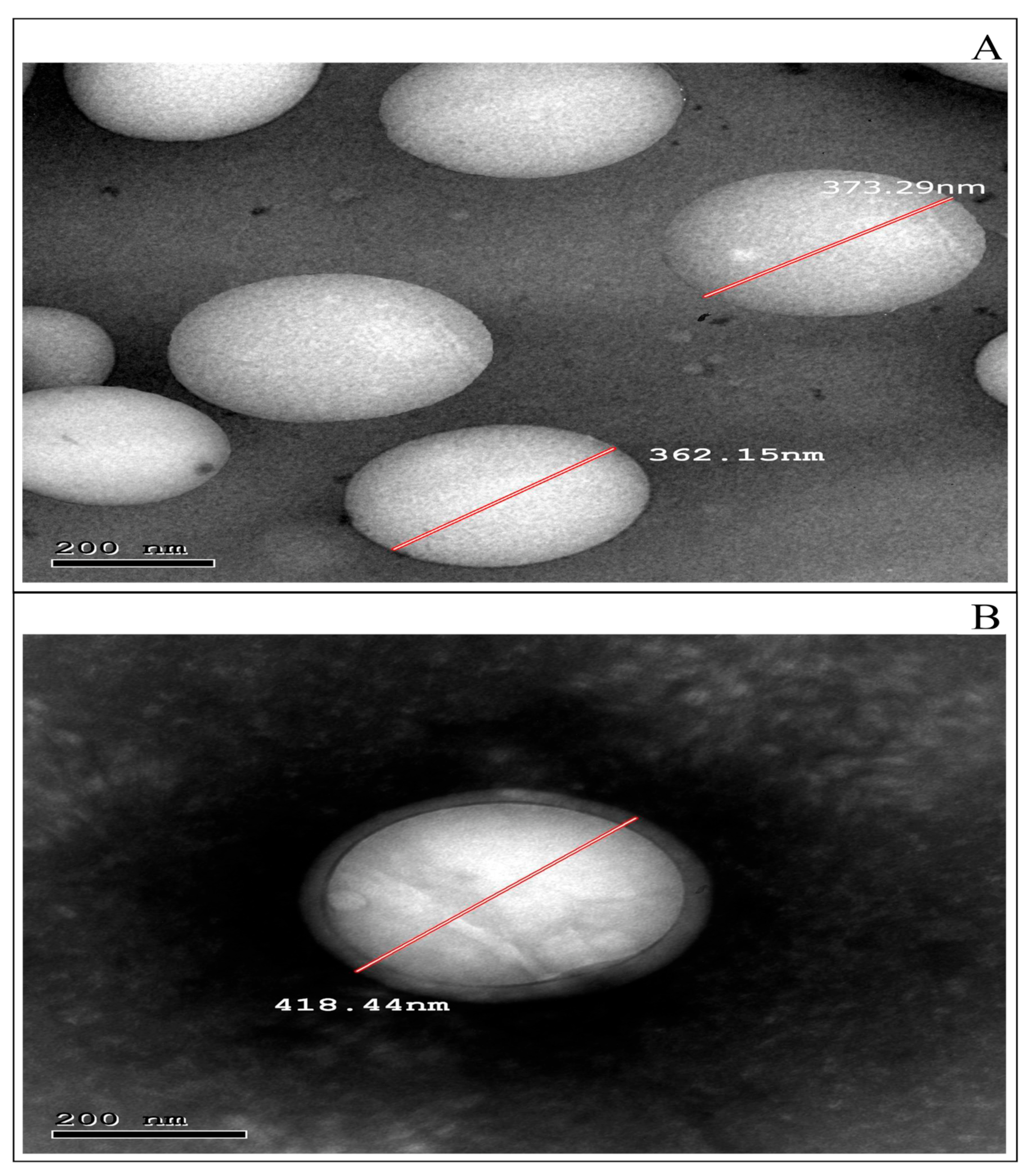 Pharmaceutics 15 00606 g002