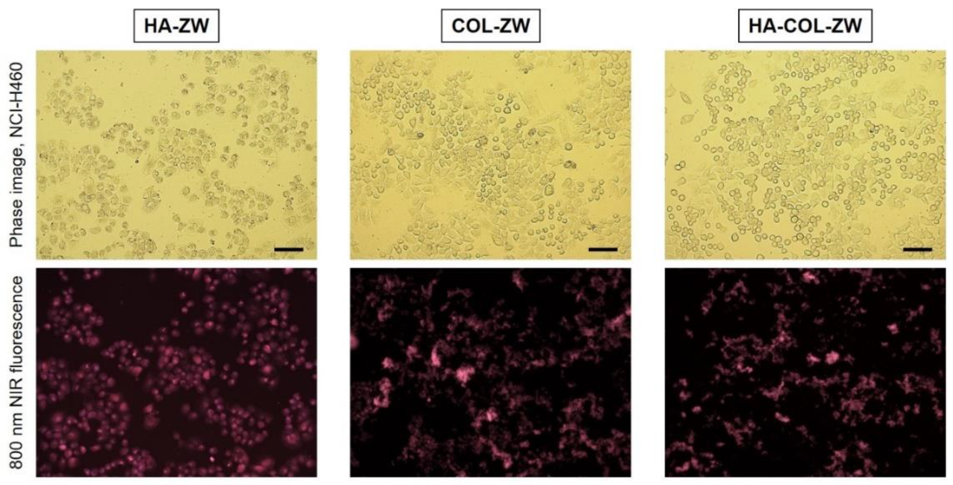 Pharmaceutics 15 00613 g005 Pharmaceutics 15 00613 g005
