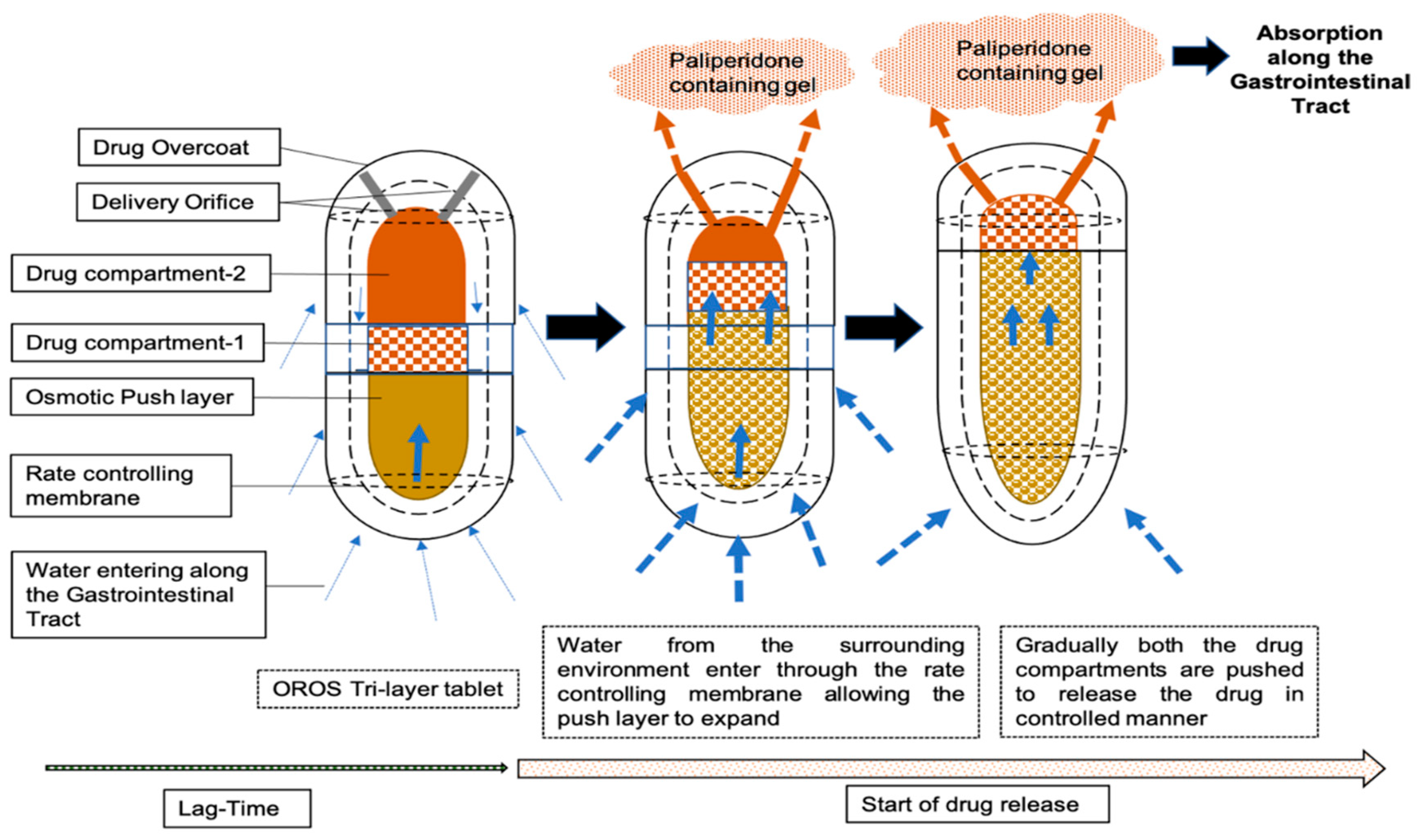 Pharmaceutics 15 00629 g001