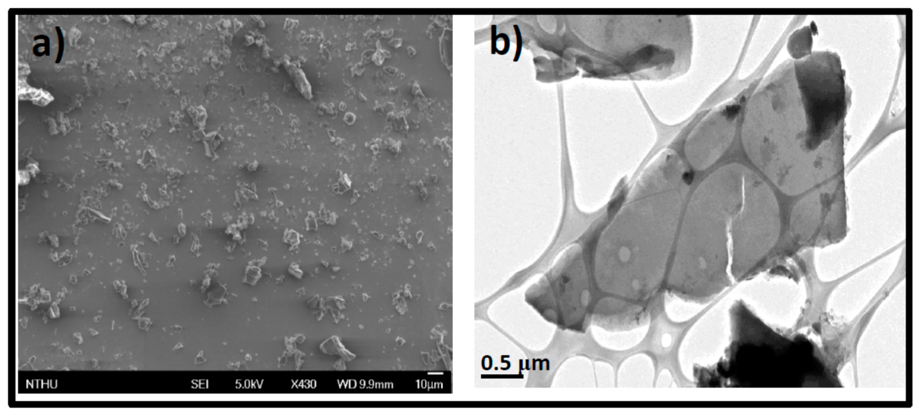 Pharmaceutics 15 00632 g001